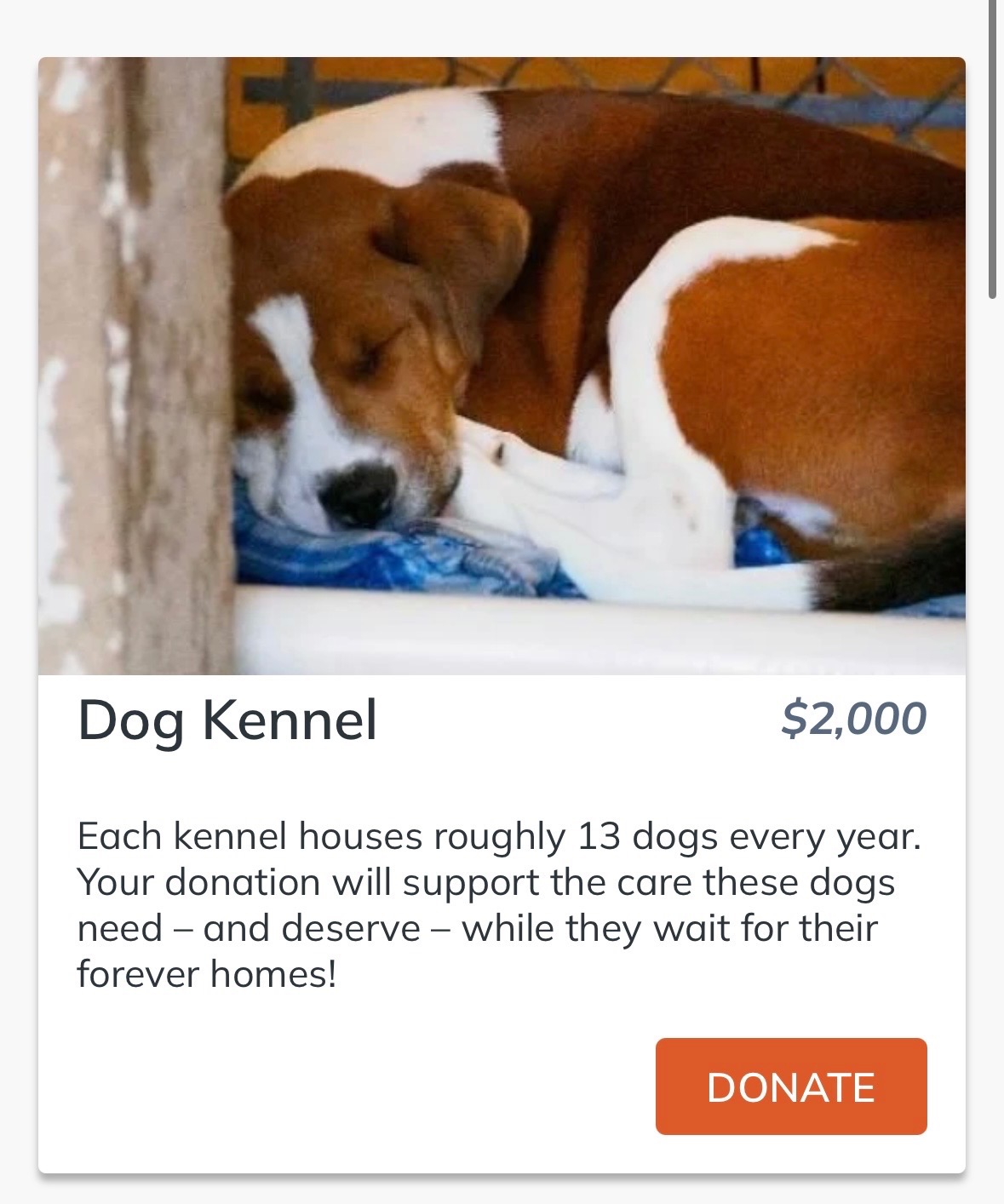 Sponsor a Dog Kennel in Lexy’s Memory campaign photo, 4 of 5