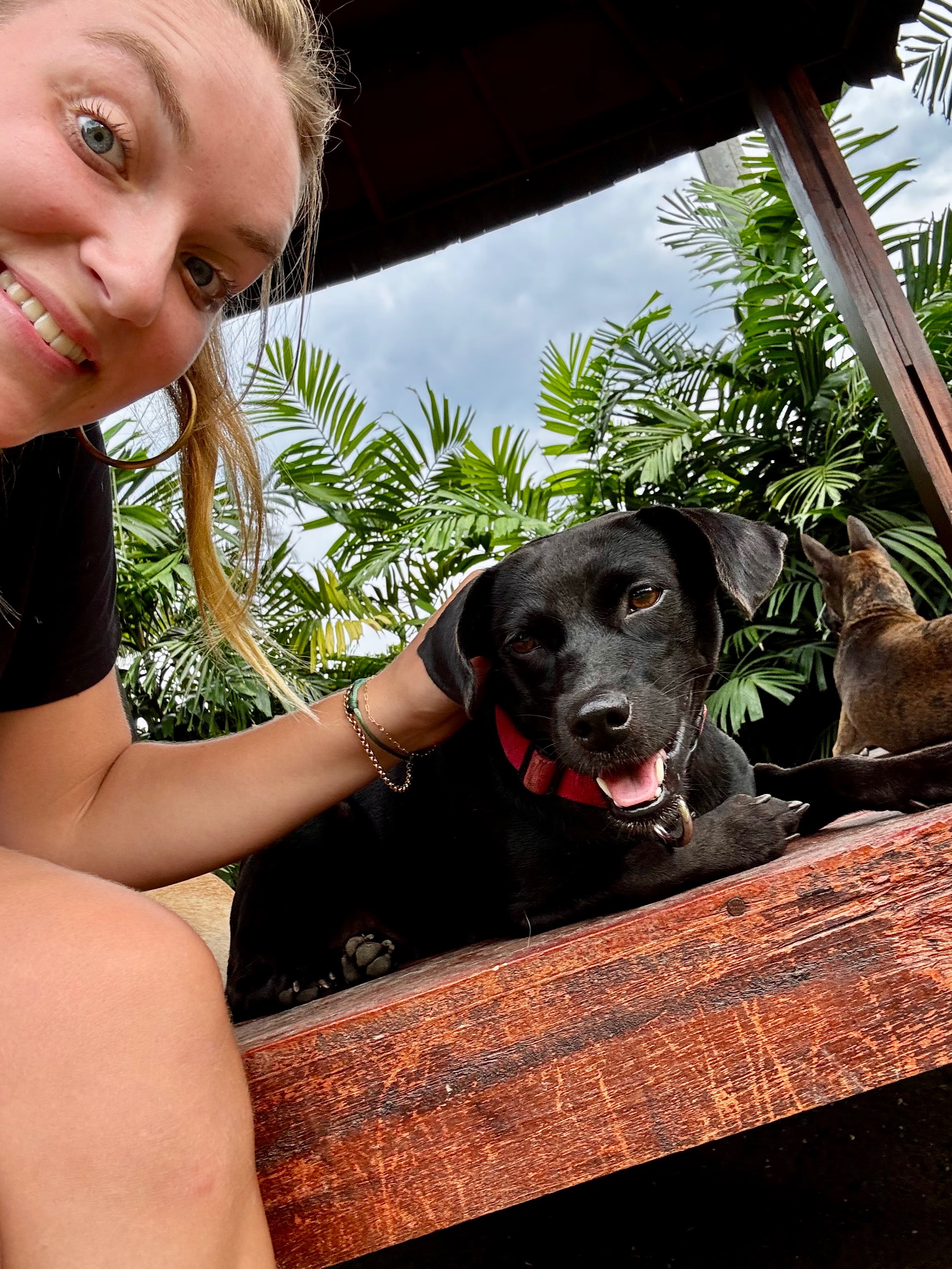 Mission Pawsible campaign photo, 2 of 7