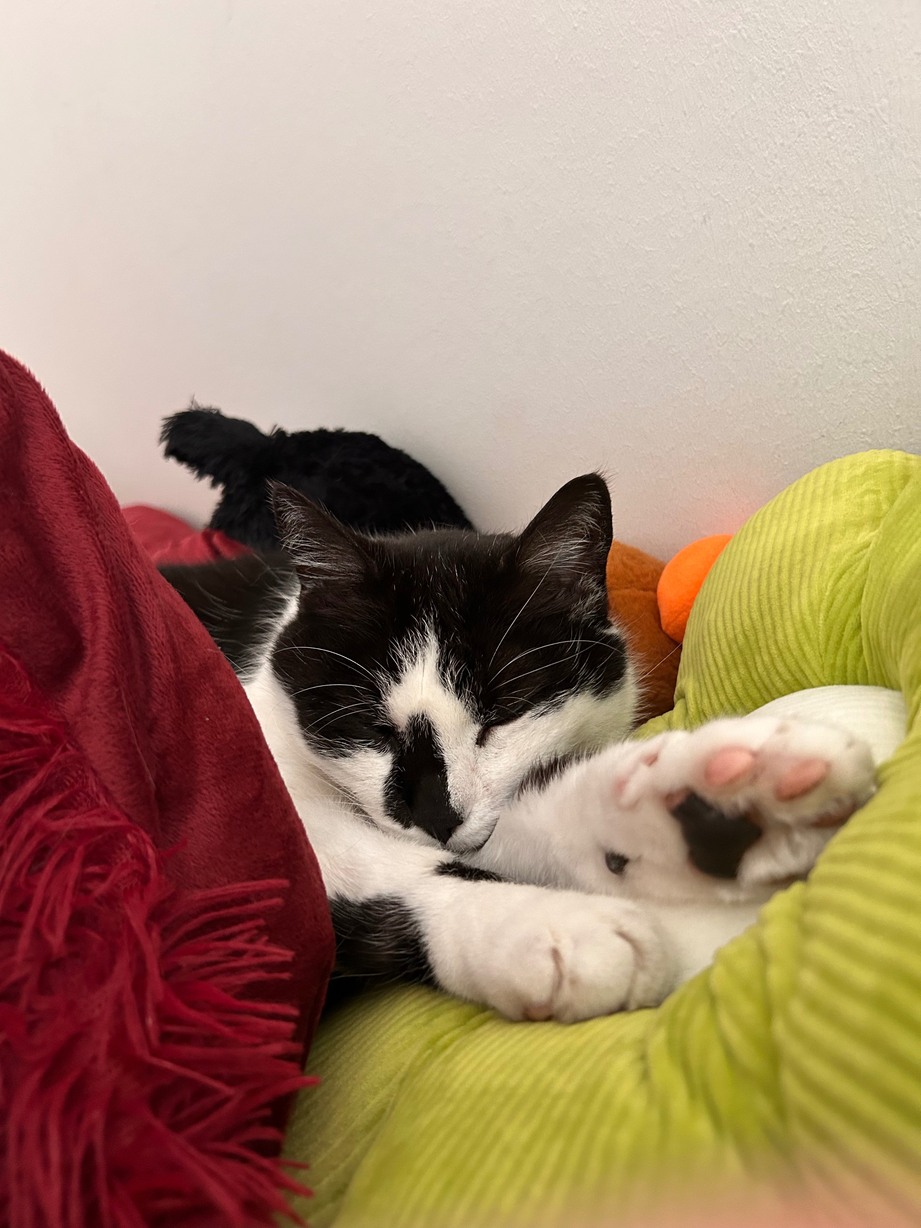 In memorial of eddy. campaign photo, 6 of 6
