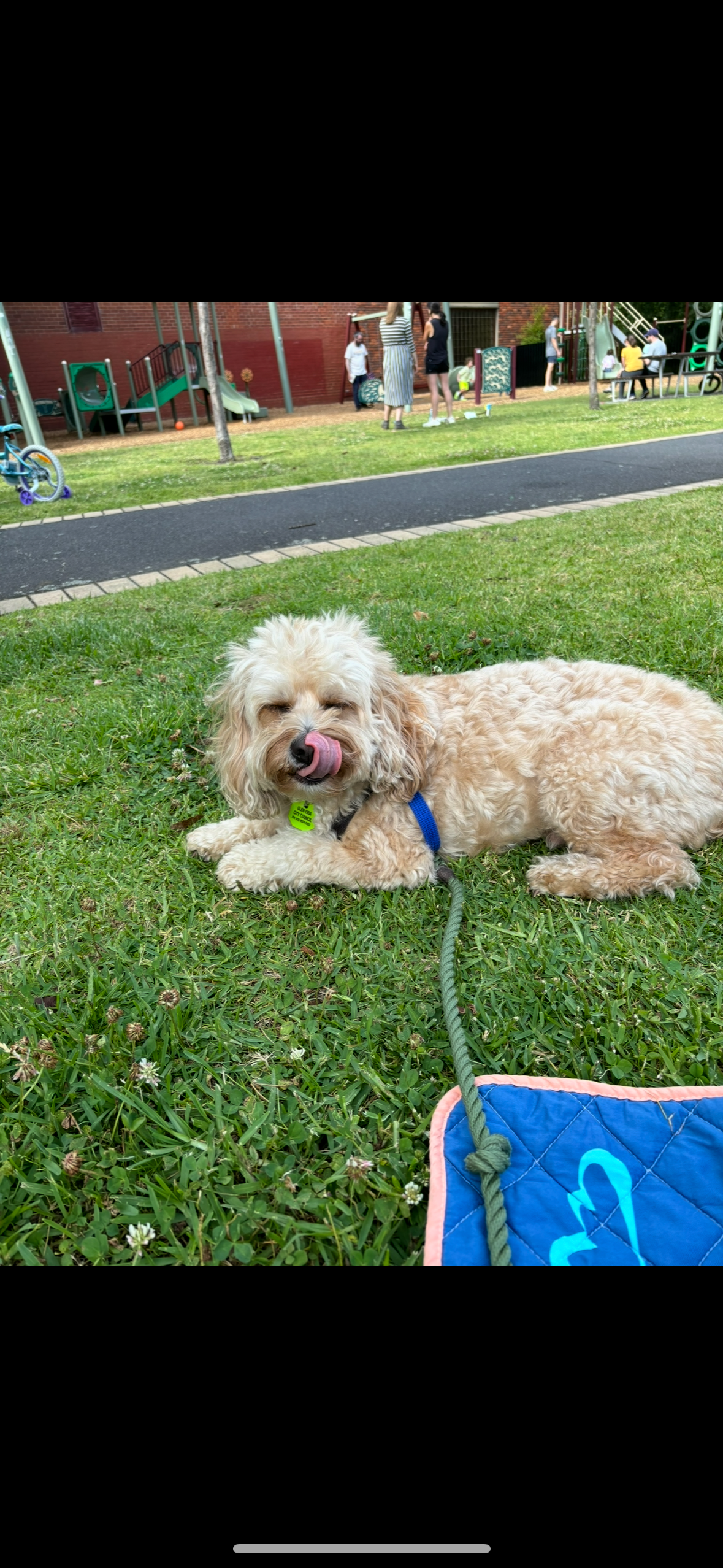 RSPCA campaign photo, 6 of 8