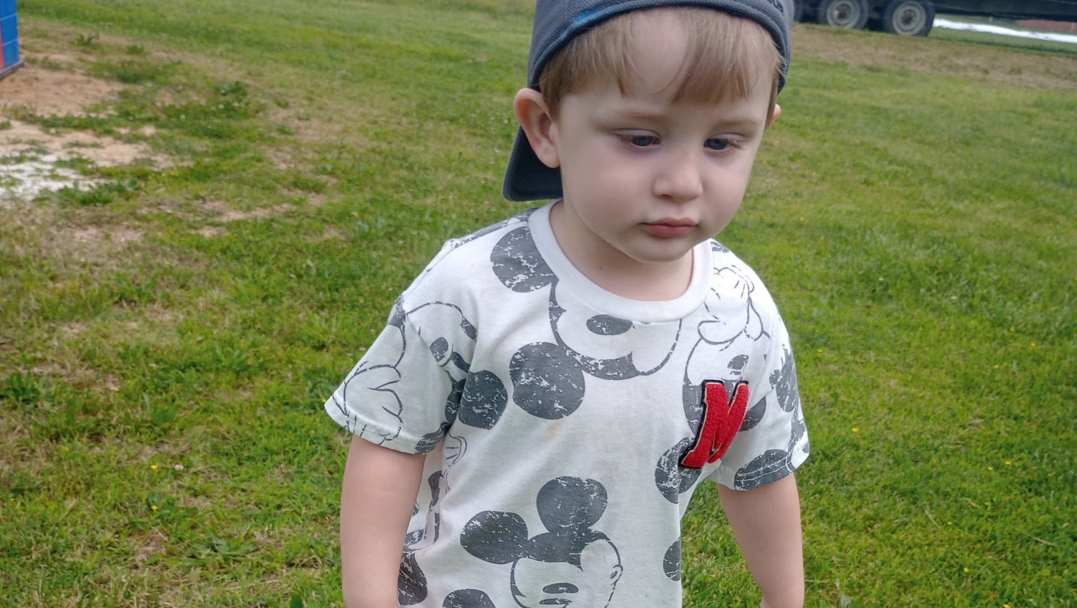 Help Keep Atlas Safe with a Secure Fence pinned link photo