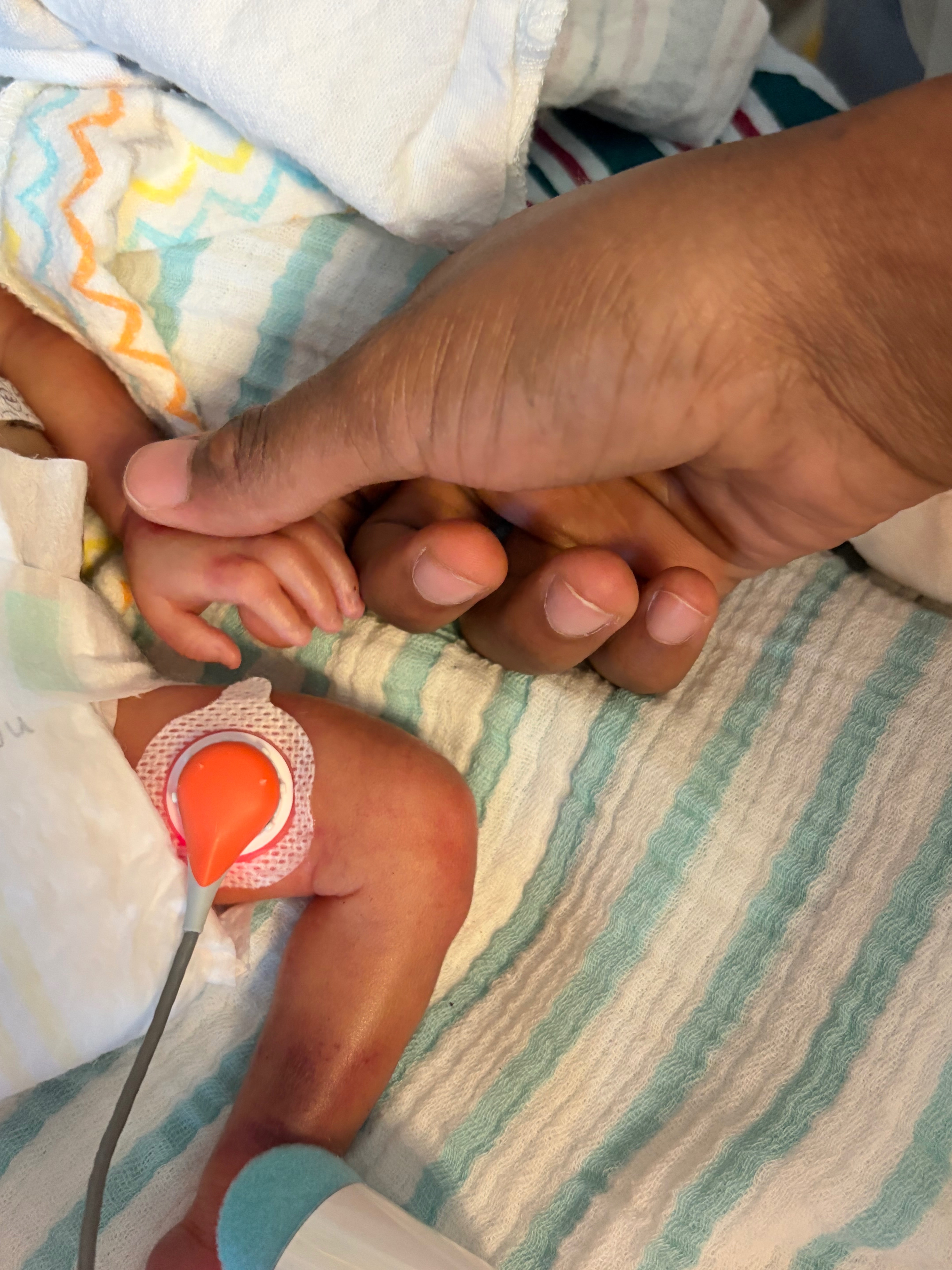 Support for Zileah After Loss of Baby Zi'mire campaign photo, 5 of 8