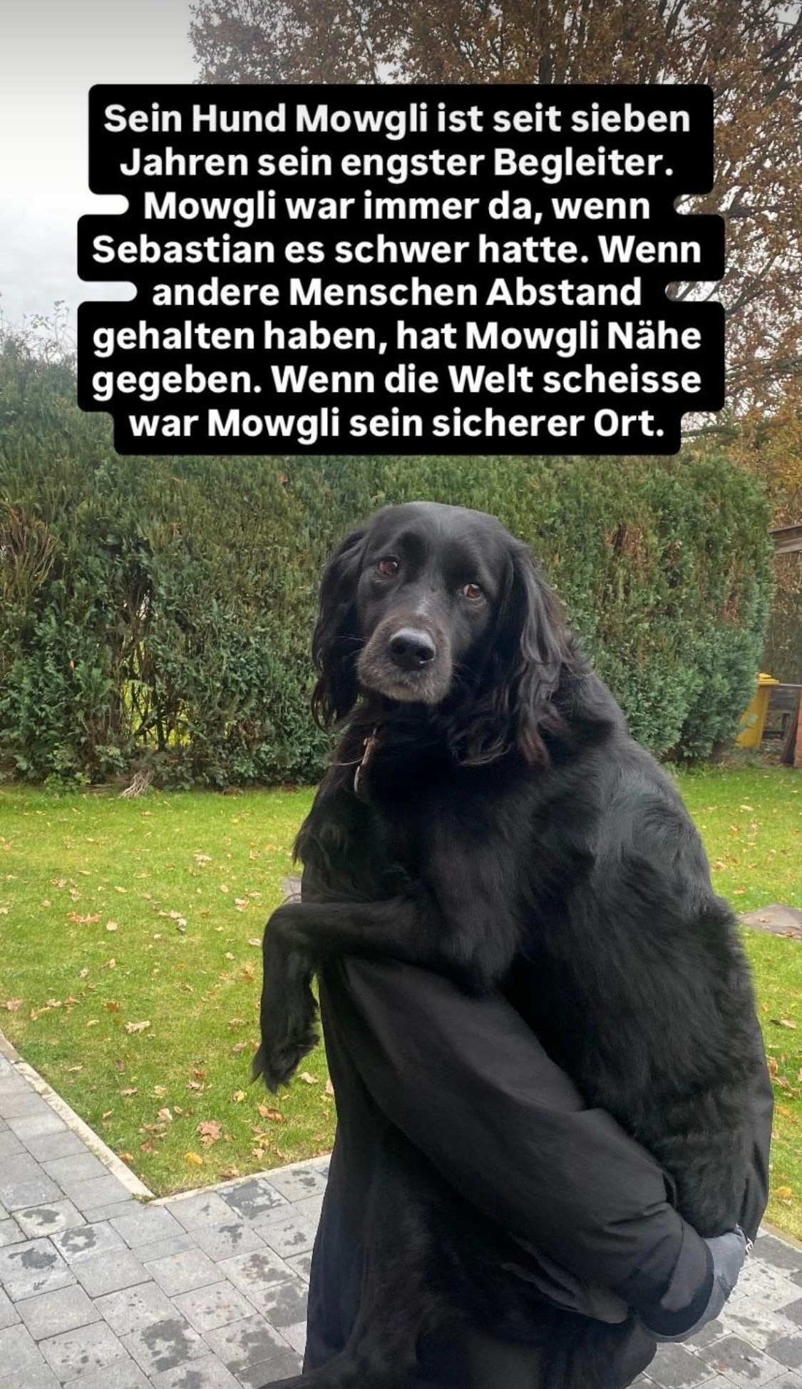 Für Mowgli - Hilfe für den besten Freund campaign photo, 6 of 7
