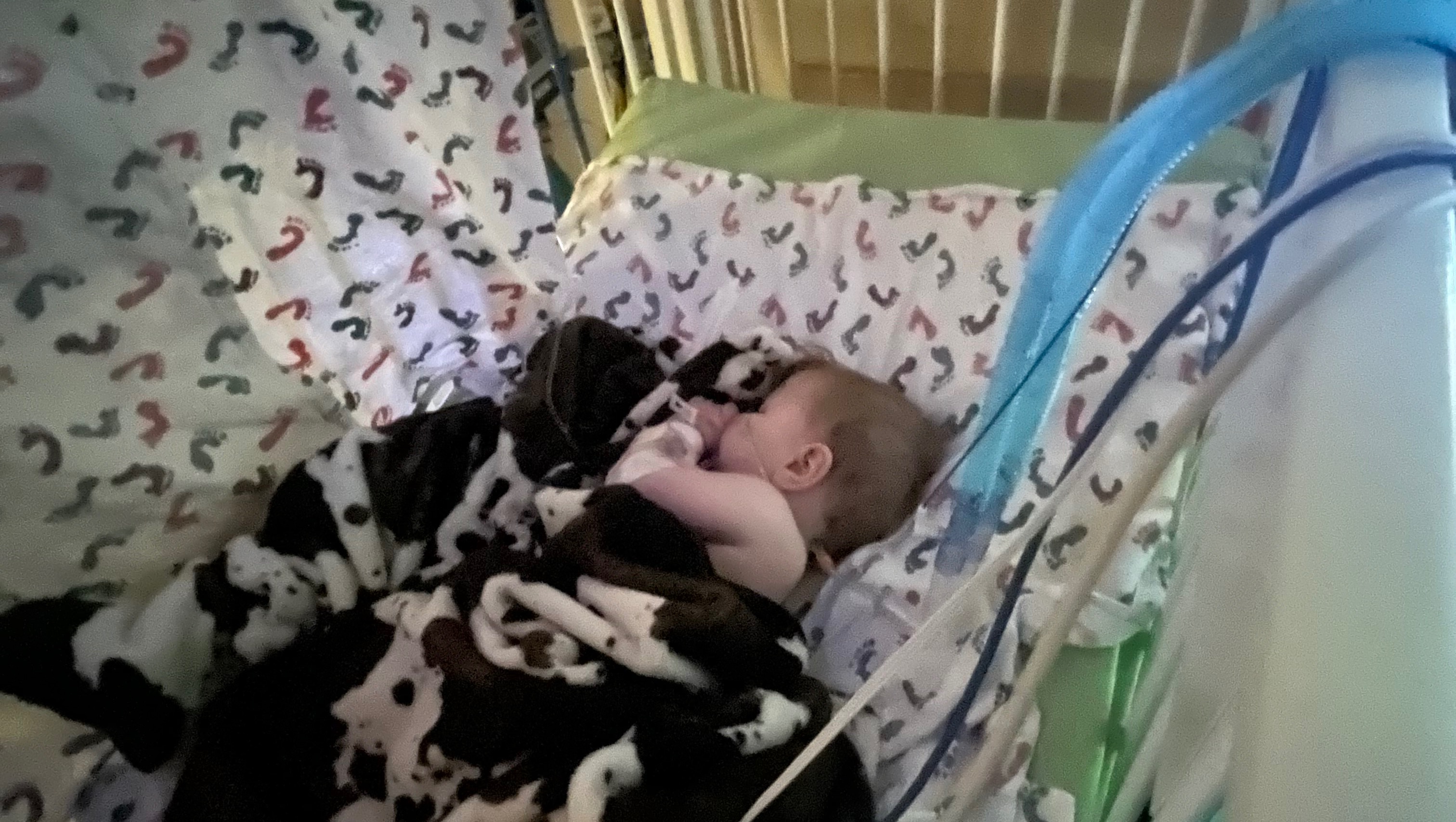 Fundraiser for Shelby Griner by Makenzie Sievertsen : Support Baby Rae ...