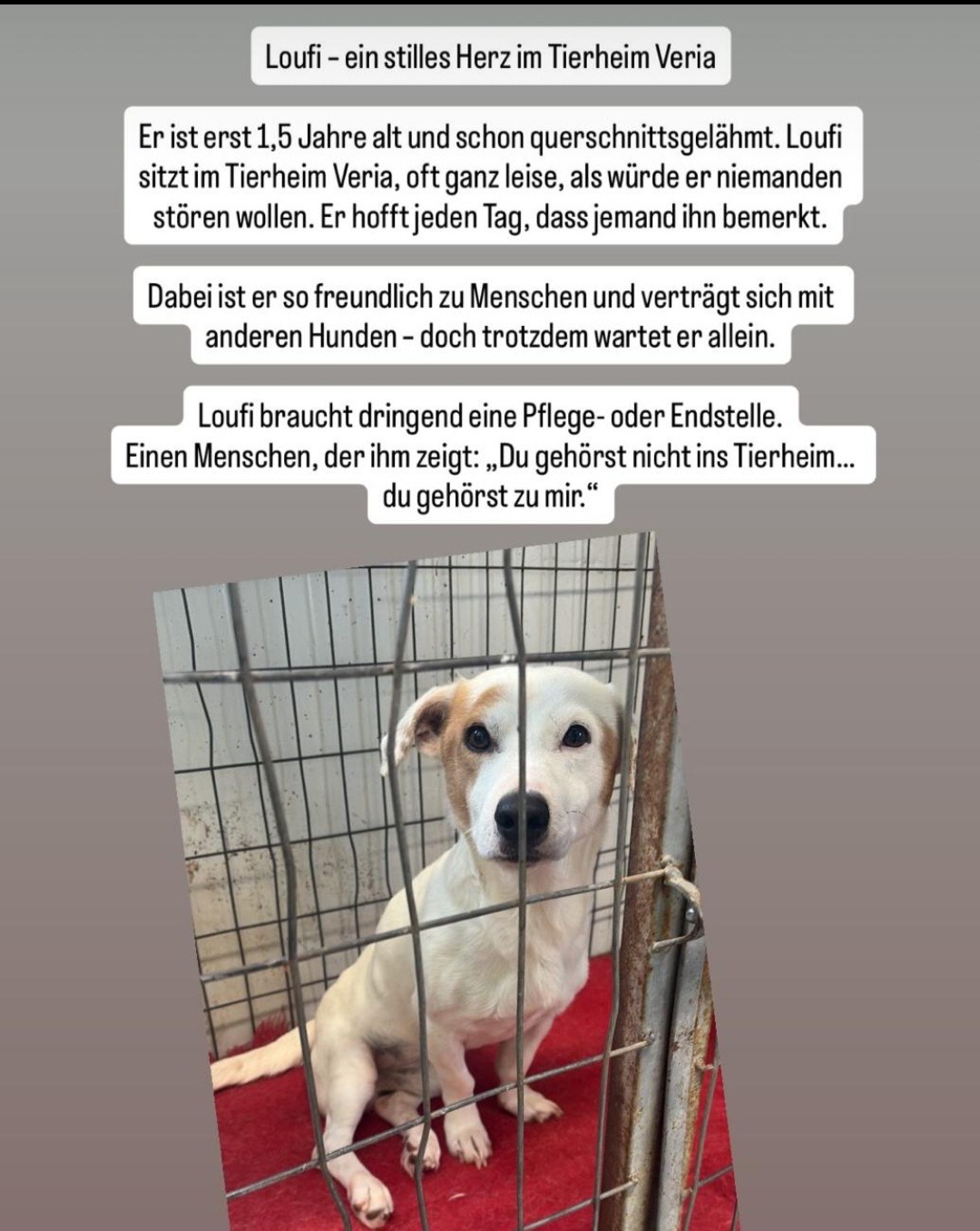 Eine zweite Chance für Loufi campaign photo, 6 of 8