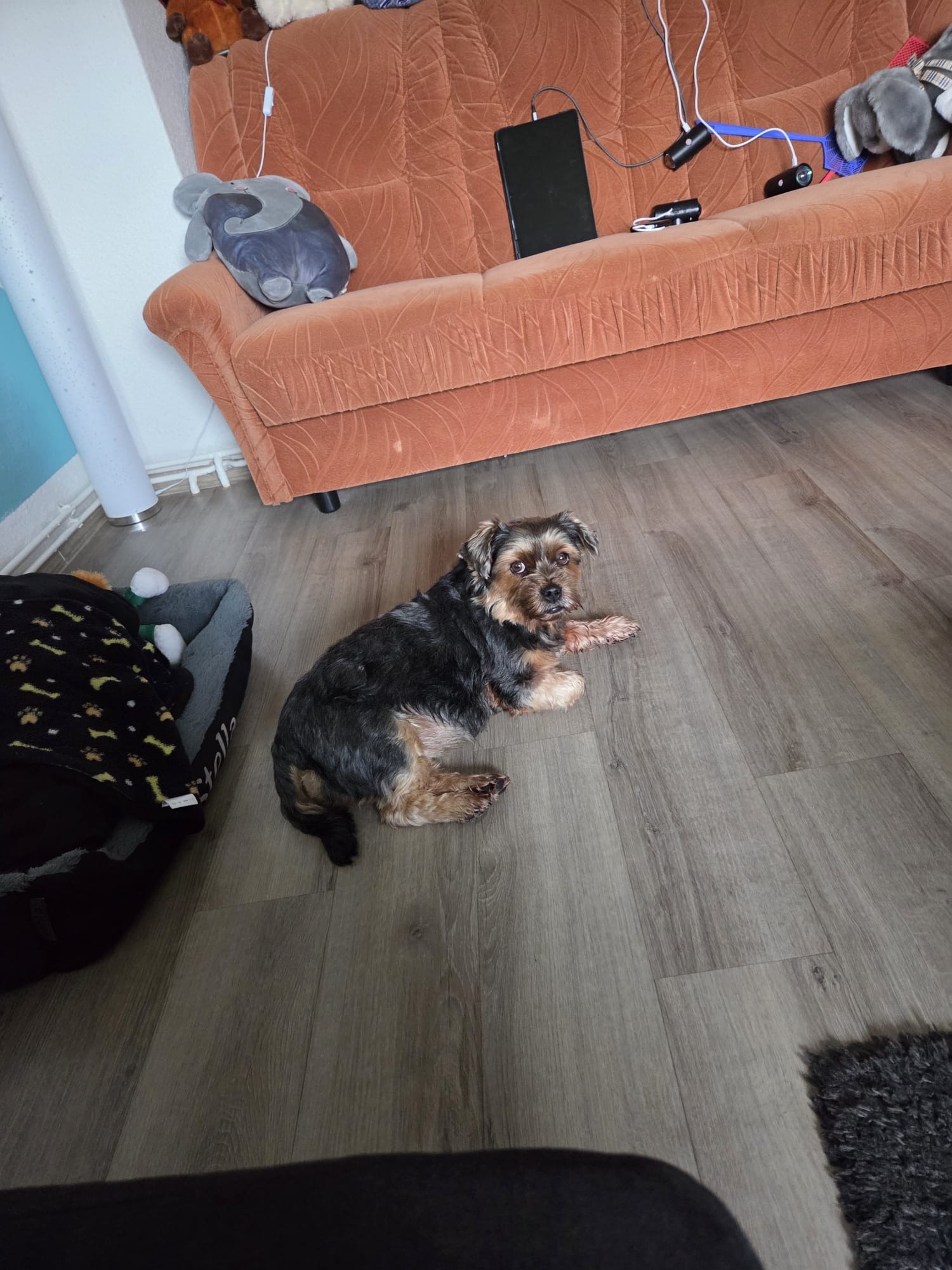 Ich bin die kleine Stella und brauche eure Hilfe campaign photo, 4 of 5