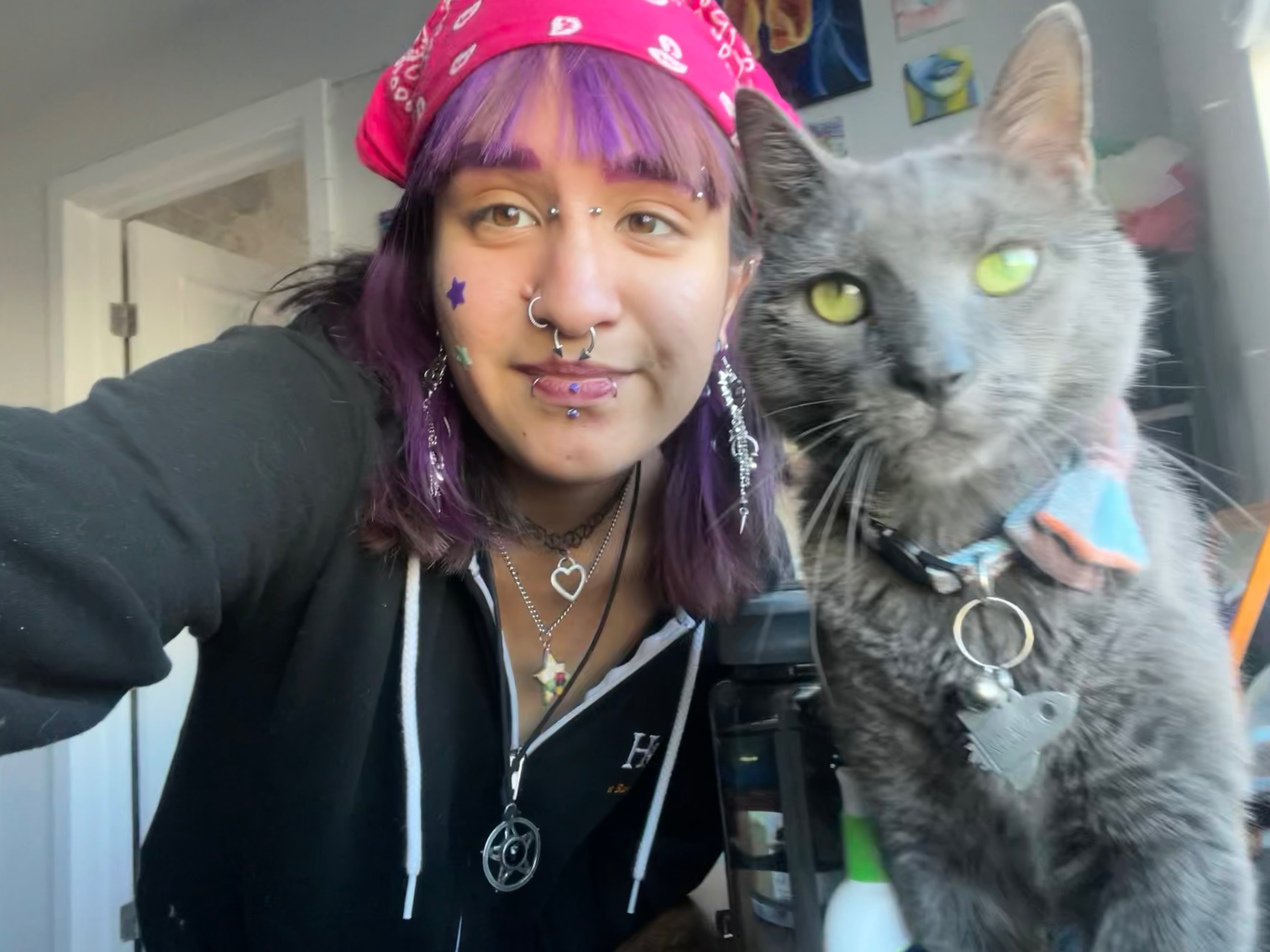 Help Kirsten’s Cat Get Life-Saving Surgery campaign photo, 2 of 7
