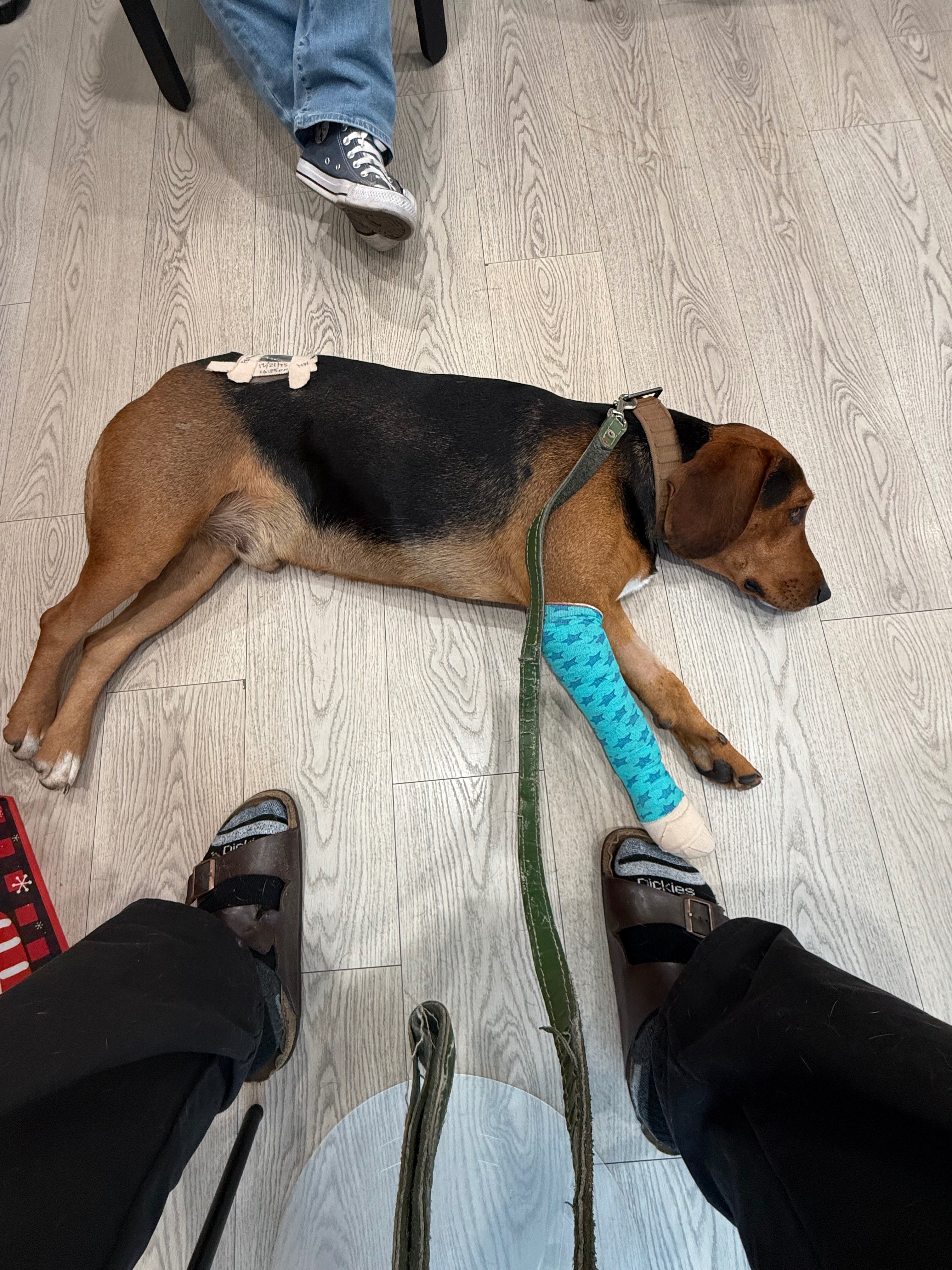 Help Lucas Walk Again After His Accident campaign photo, 2 of 7