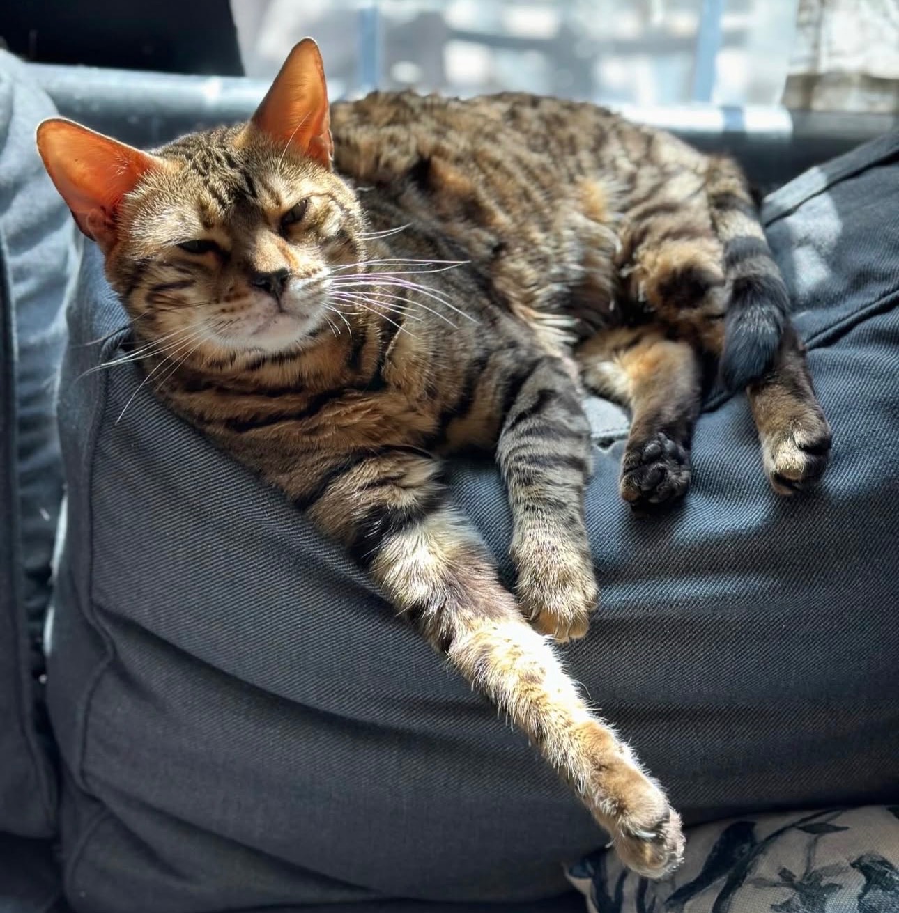 Support Babou’s Healing Journey After Major Surgery campaign photo, 5 of 6