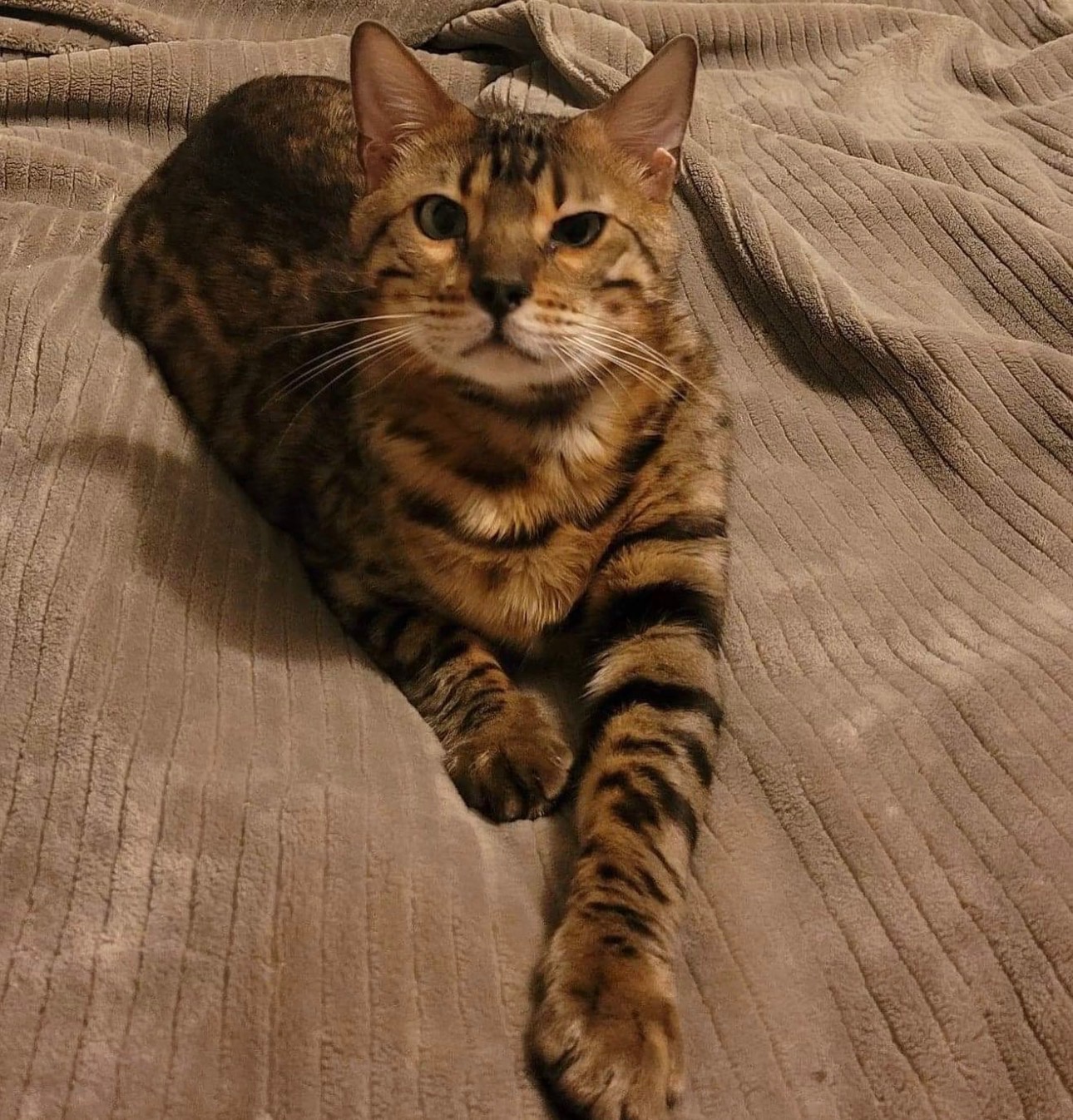 Support Babou’s Healing Journey After Major Surgery campaign photo, 4 of 6