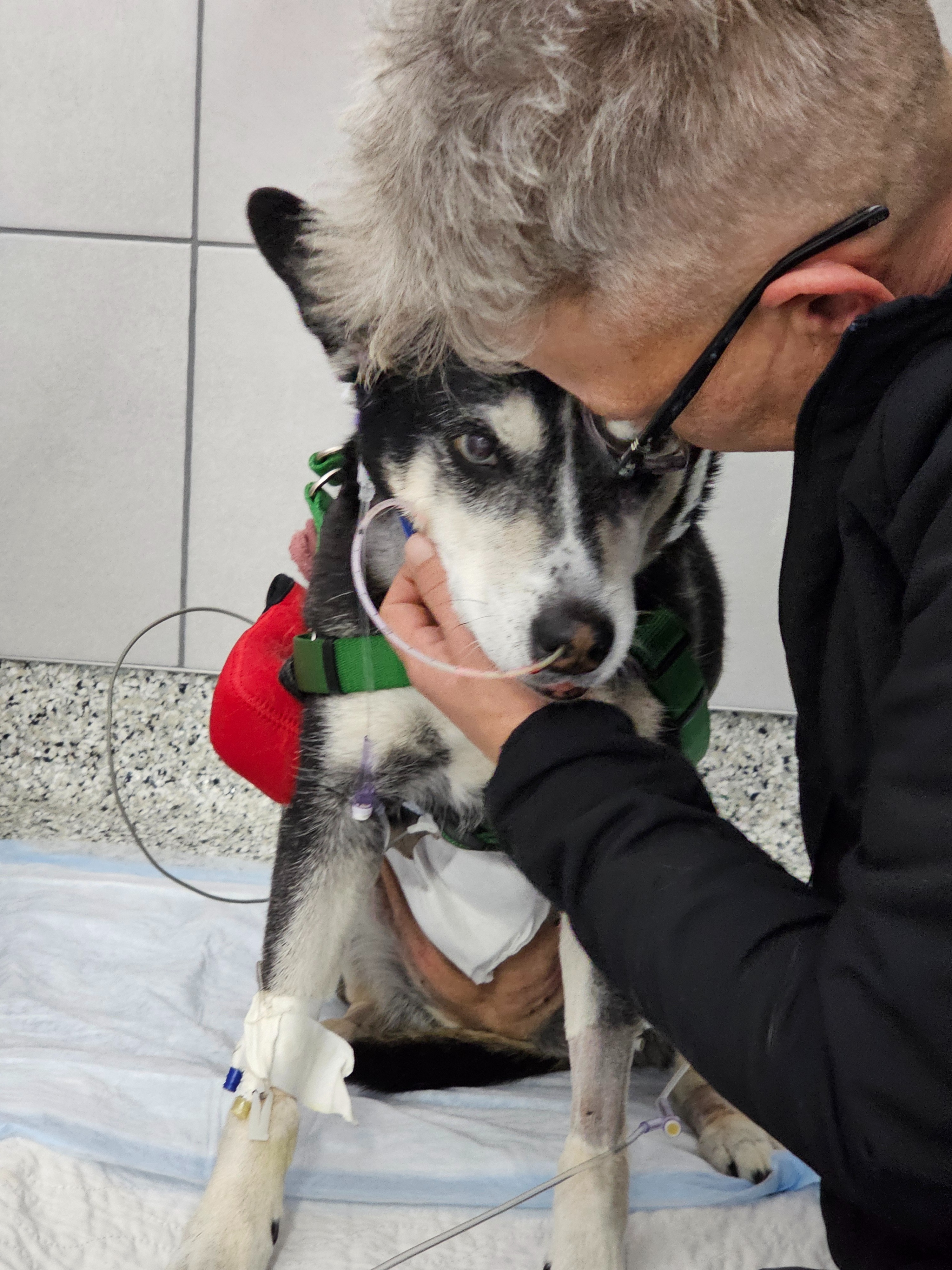 Helping Maui Recover After Emergency Surgery campaign photo, 2 of 8