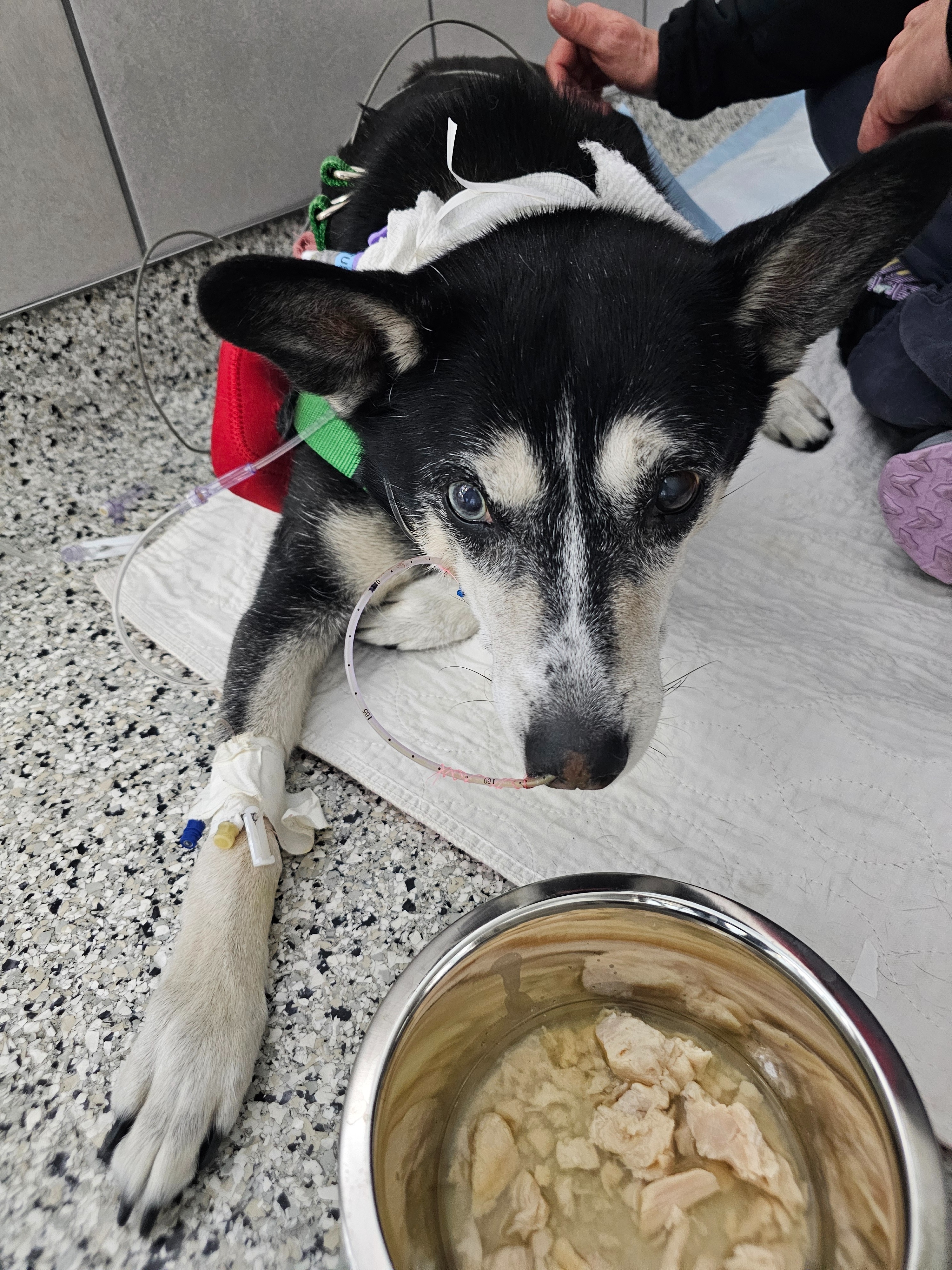 Helping Maui Recover After Emergency Surgery campaign photo, 6 of 8