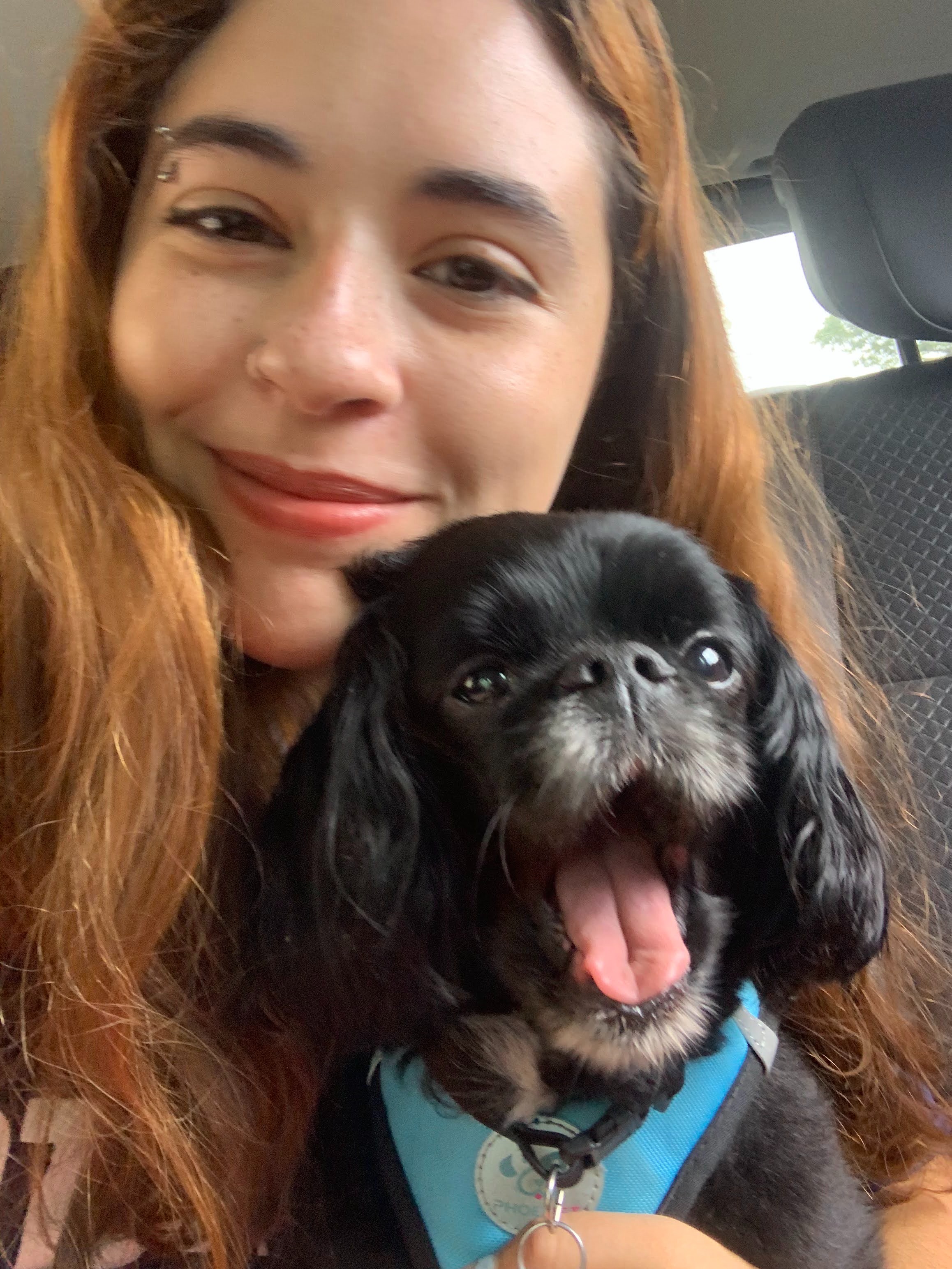 Help Milo Fight His Tumor and Ease his Pain campaign photo, 4 of 8