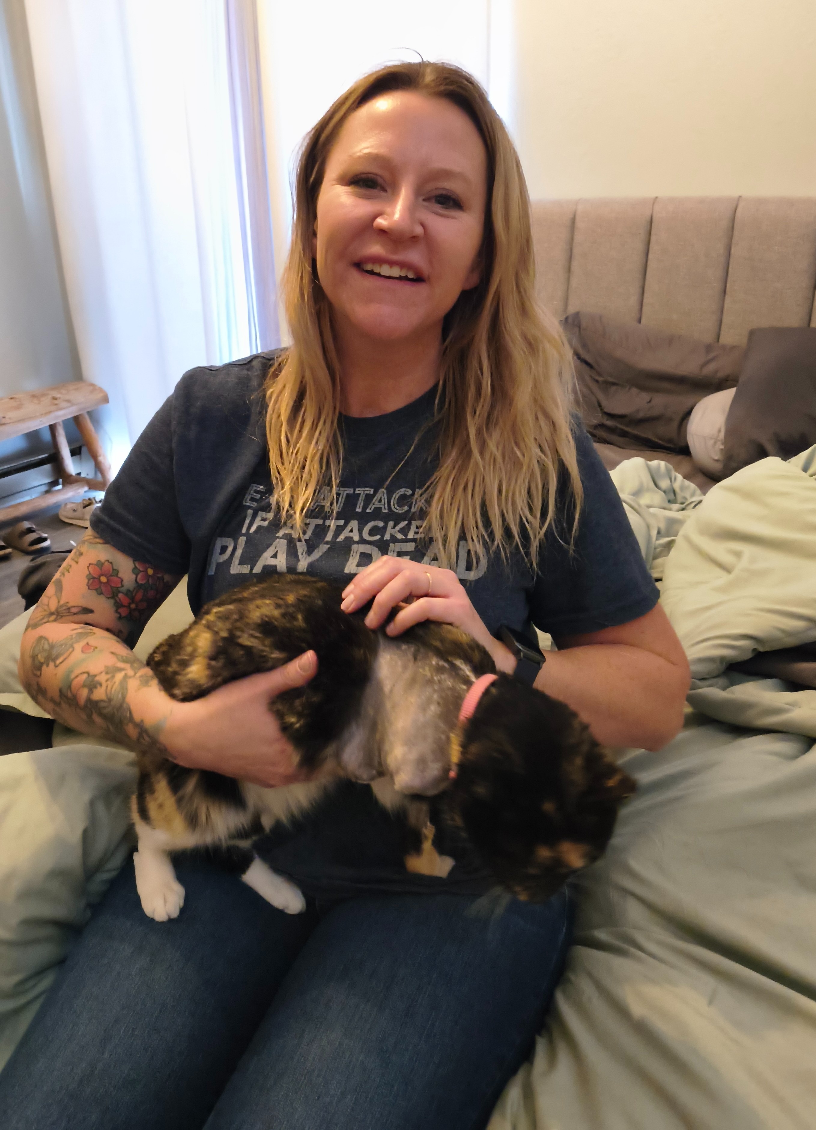 Help Save Injured Calico Cat campaign photo, 2 of 7