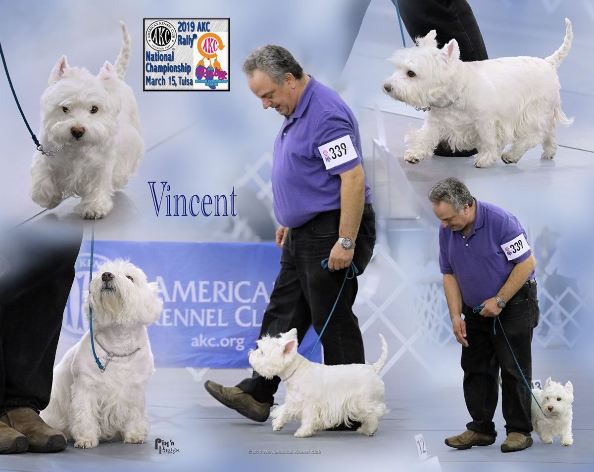 Help Vincent take a bite out of cancer! campaign photo, 7 of 7