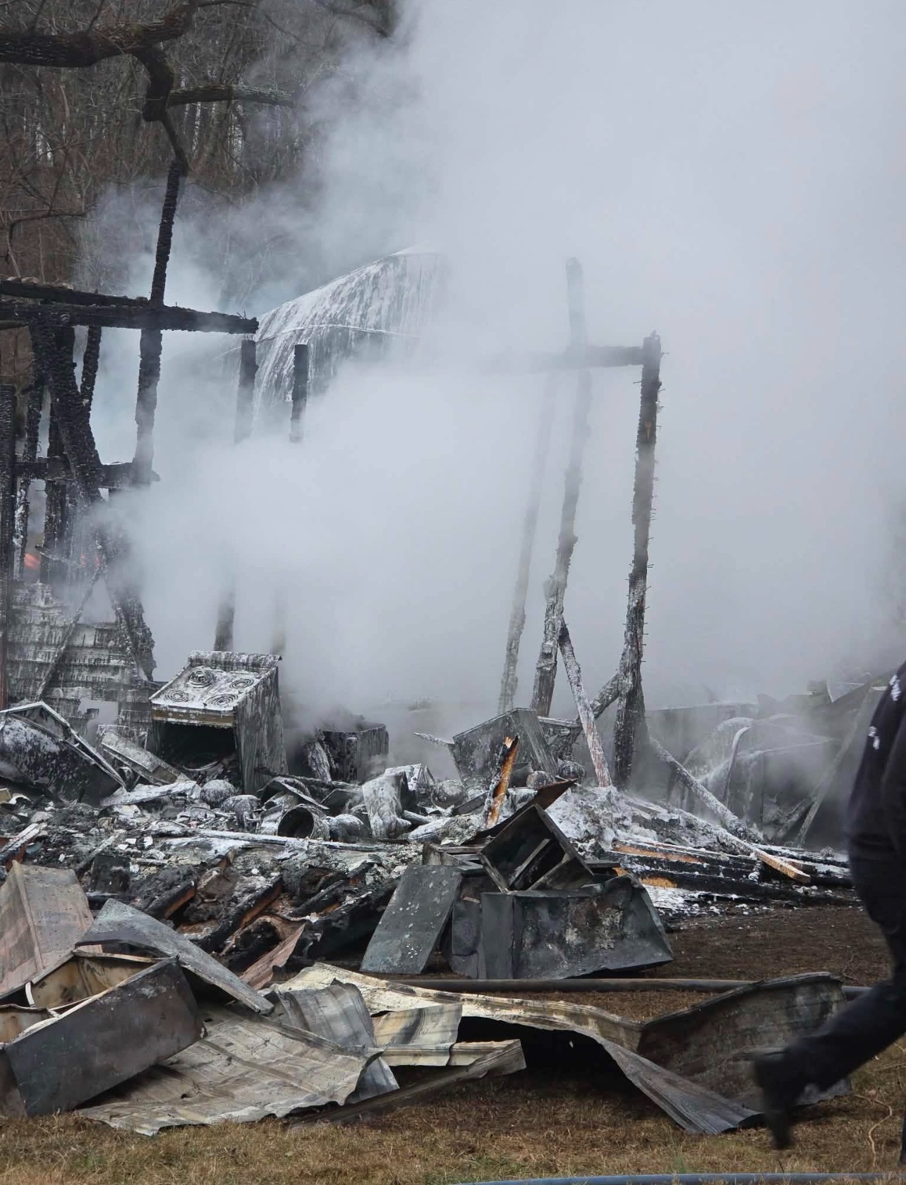 Support Amly-Gene Reed After Losing Her Home in House Fire campaign photo, 2 of 6