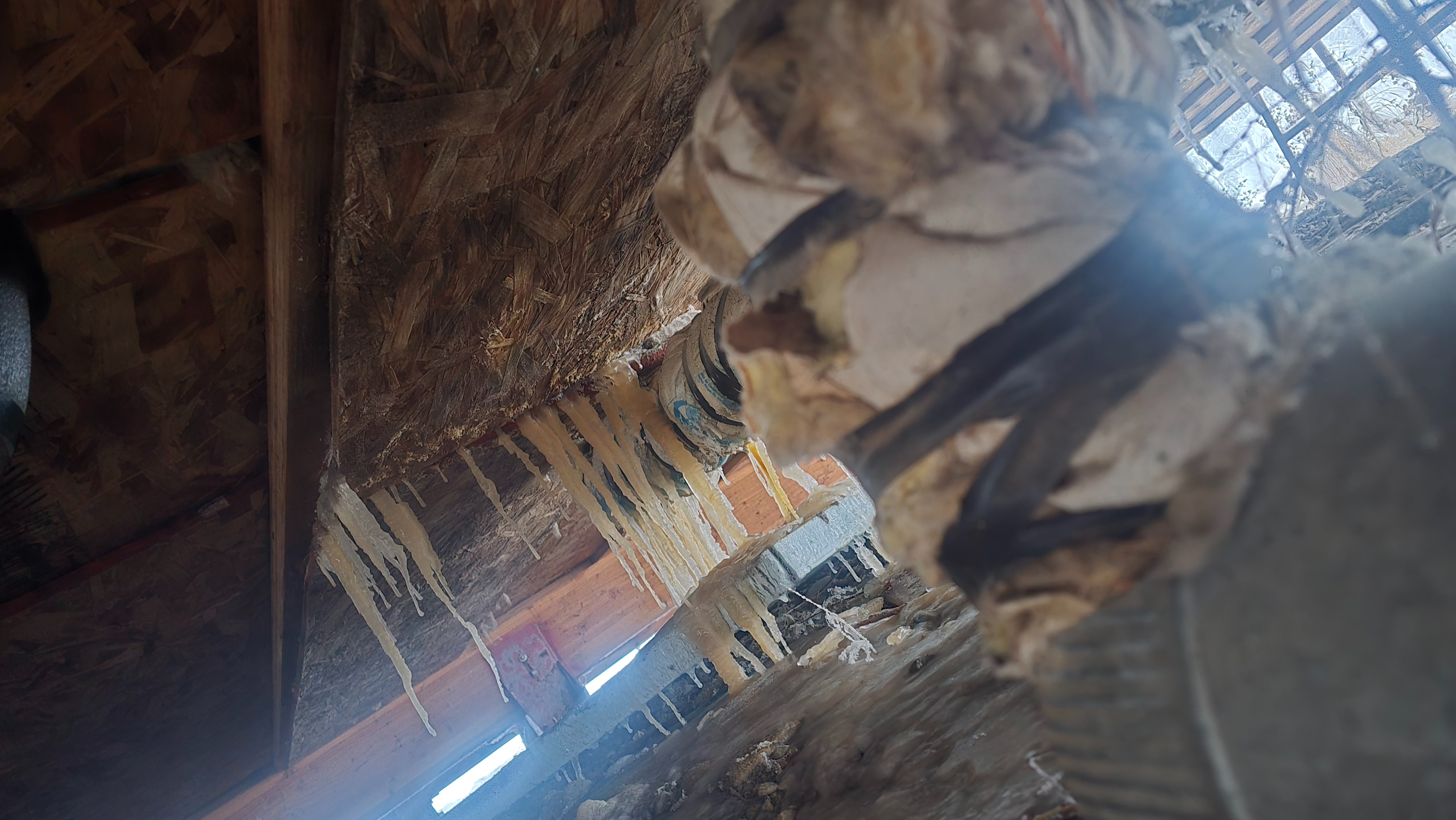 Help needed. Urgent house repairs needed. campaign photo, 2 of 6