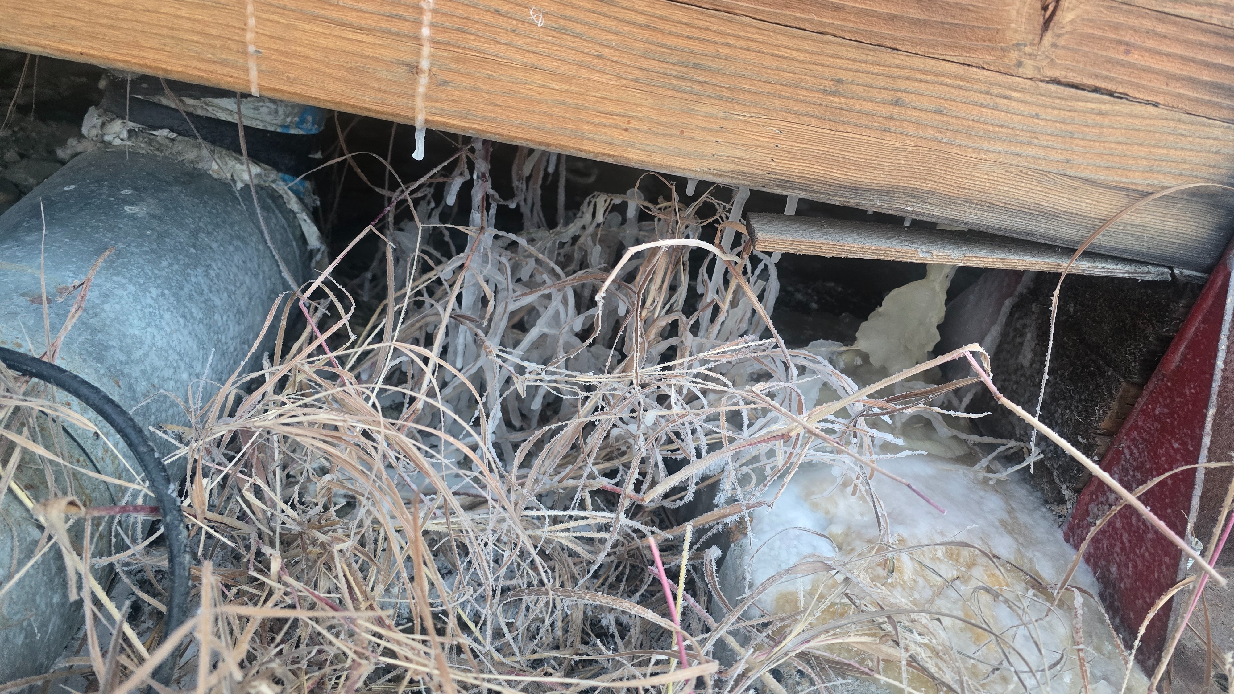 Help needed. Urgent house repairs needed. campaign photo, 4 of 6