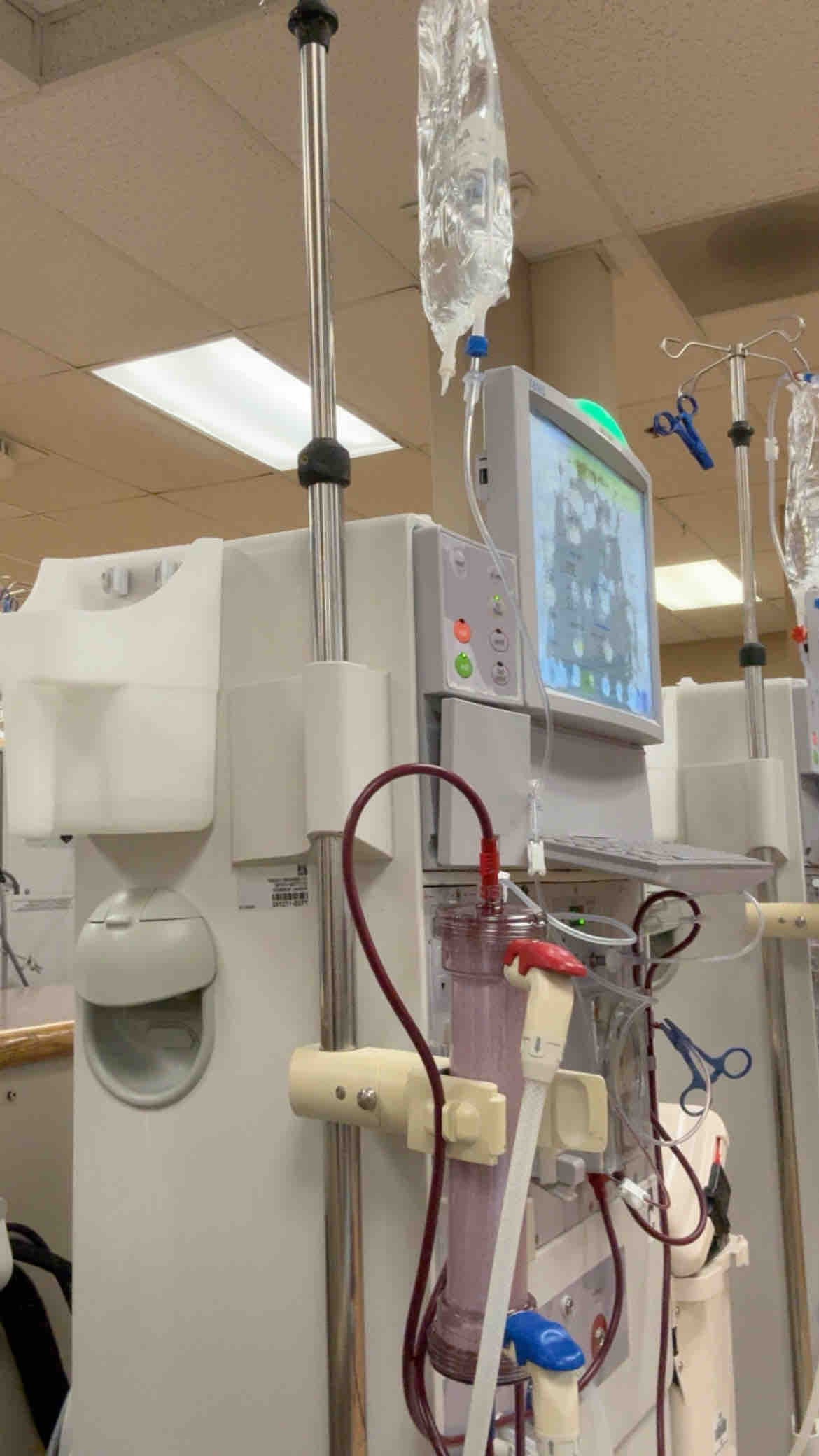 Support Excel's Journey to a Kidney Transplant campaign photo, 2 of 8