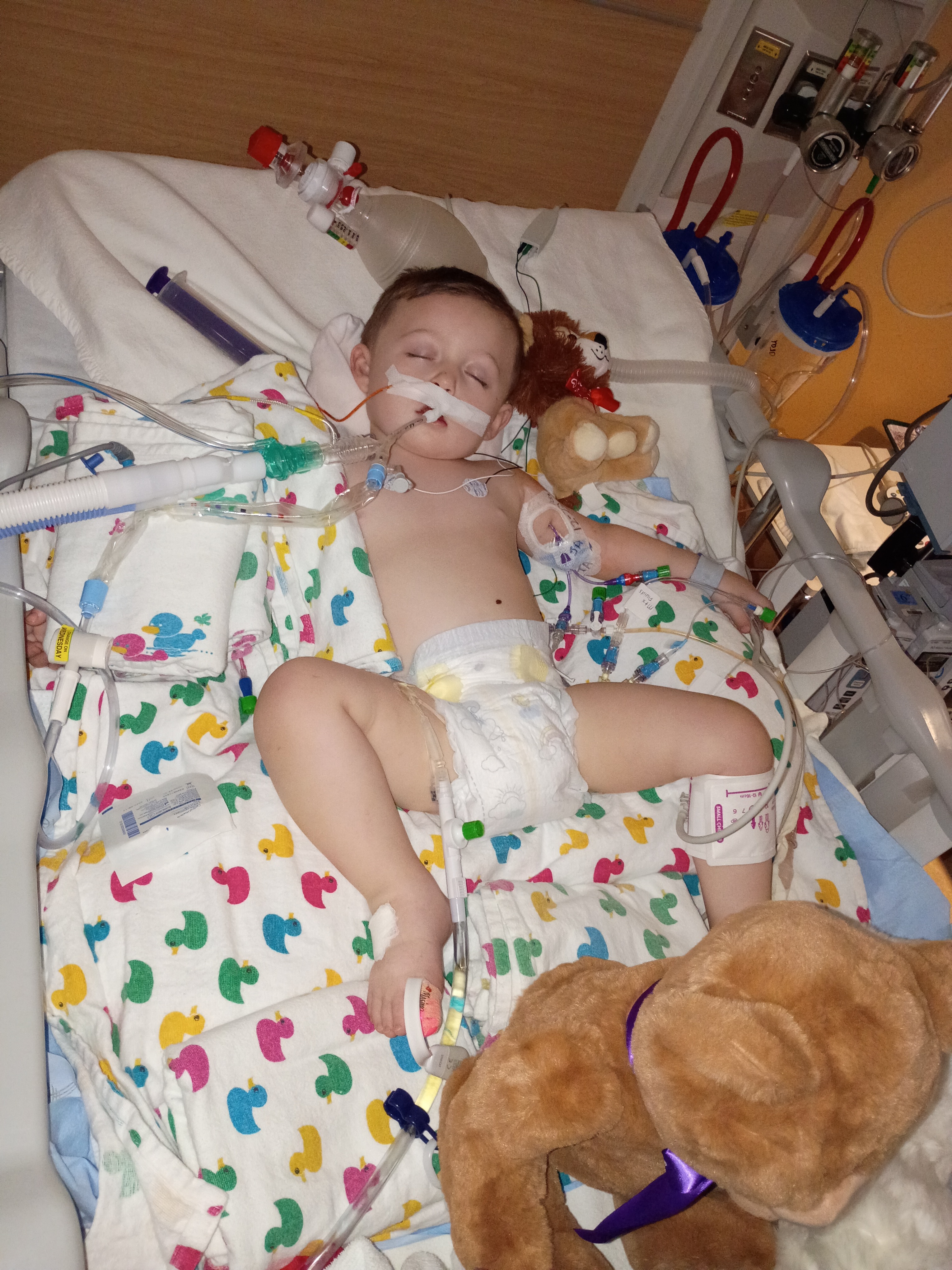 Support for Our Baby’s Hospital Journey campaign photo, 4 of 8