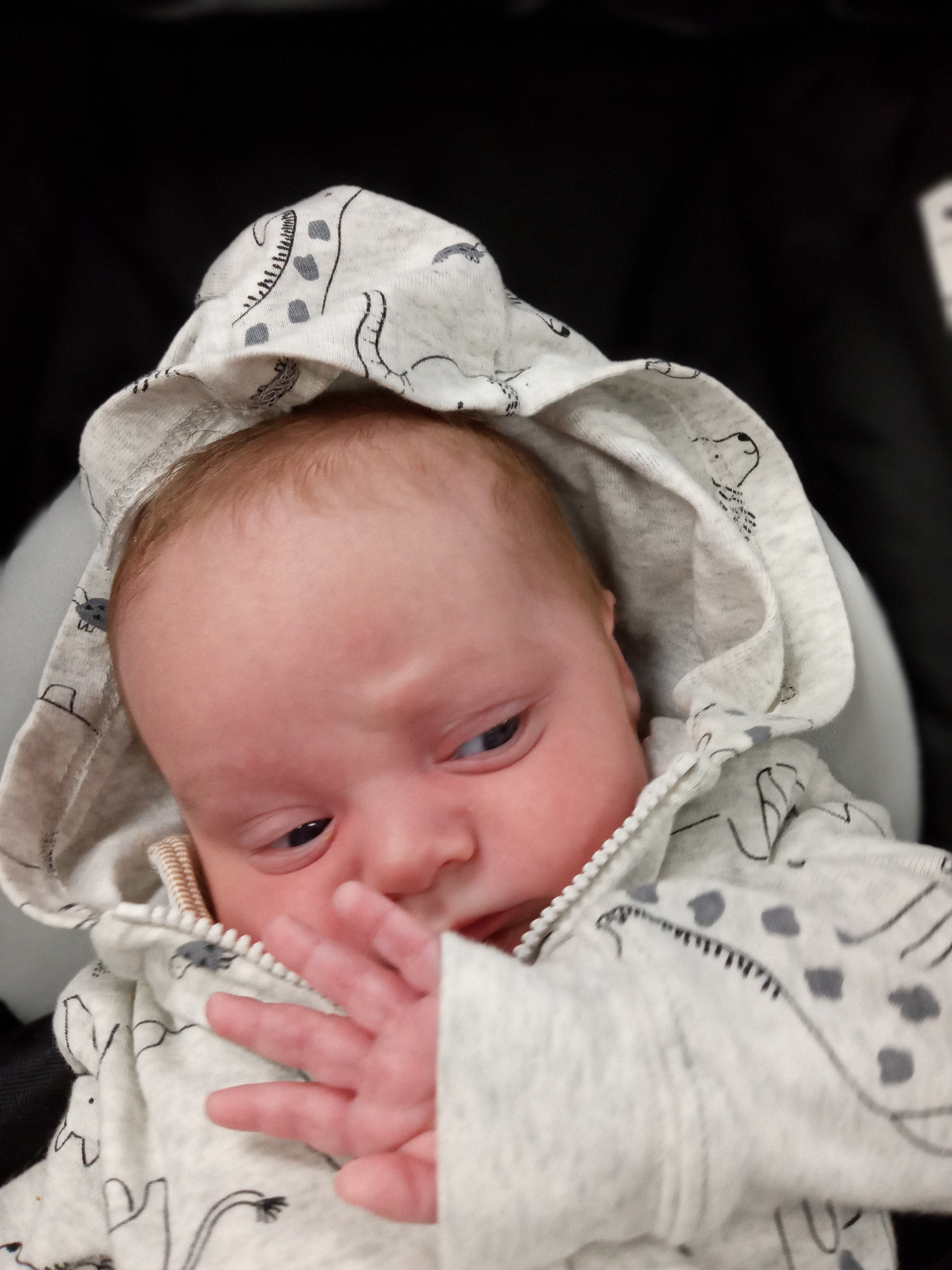 Help Us Bury Our 20-Month-Old Grandson campaign photo, 4 of 6
