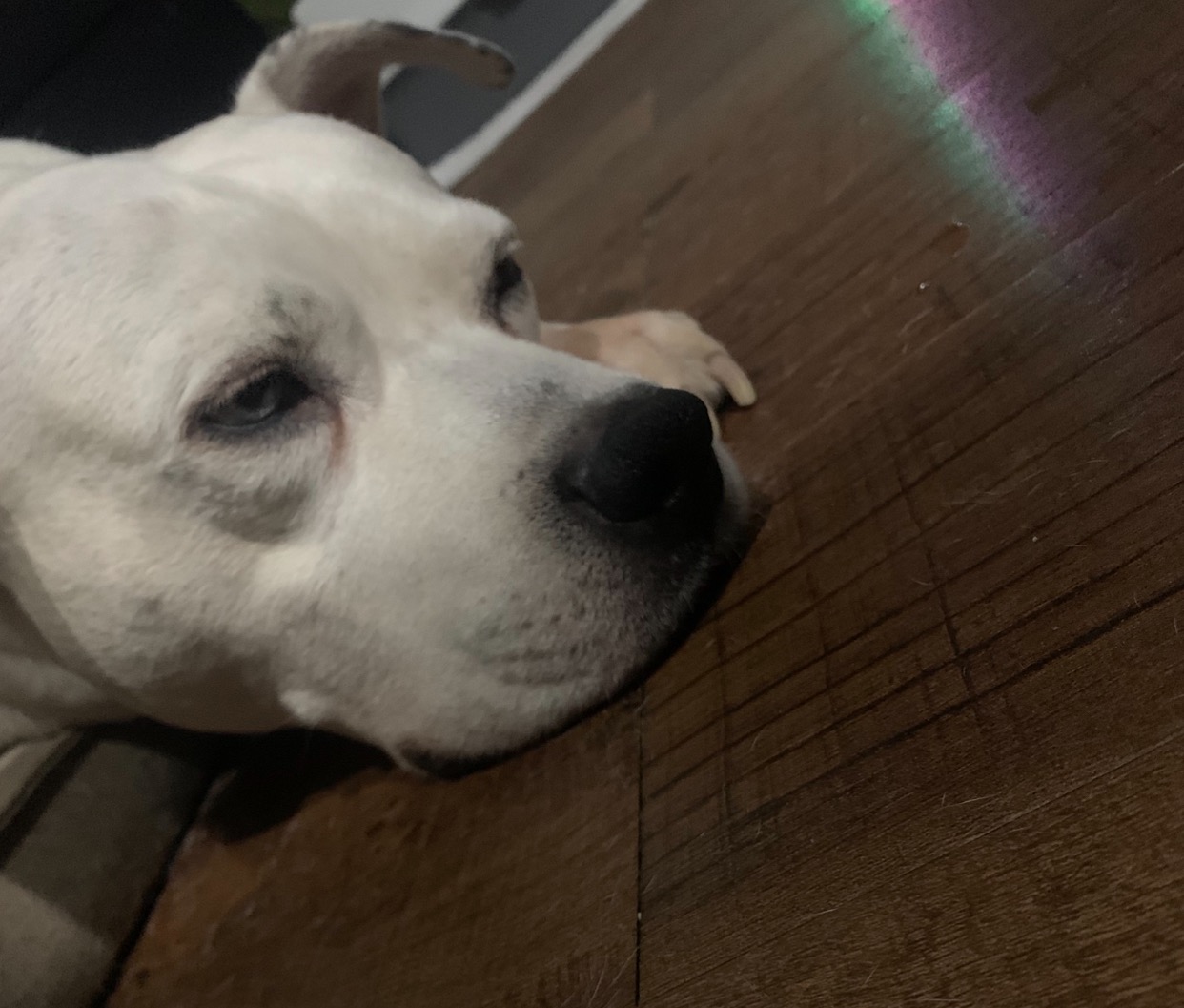 URGENT: Help Malaa get Surgery campaign photo, 6 of 7