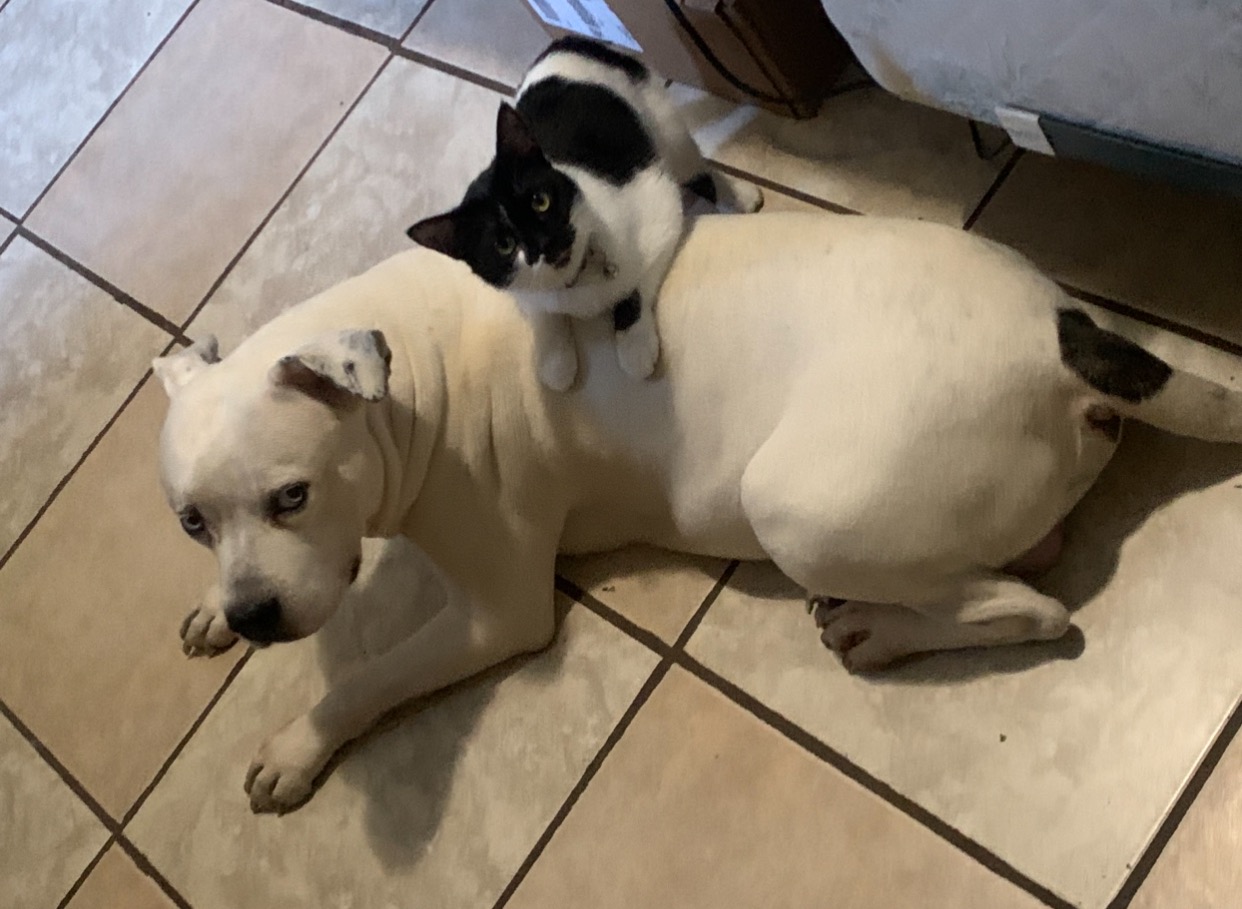URGENT: Help Malaa get Surgery campaign photo, 2 of 7