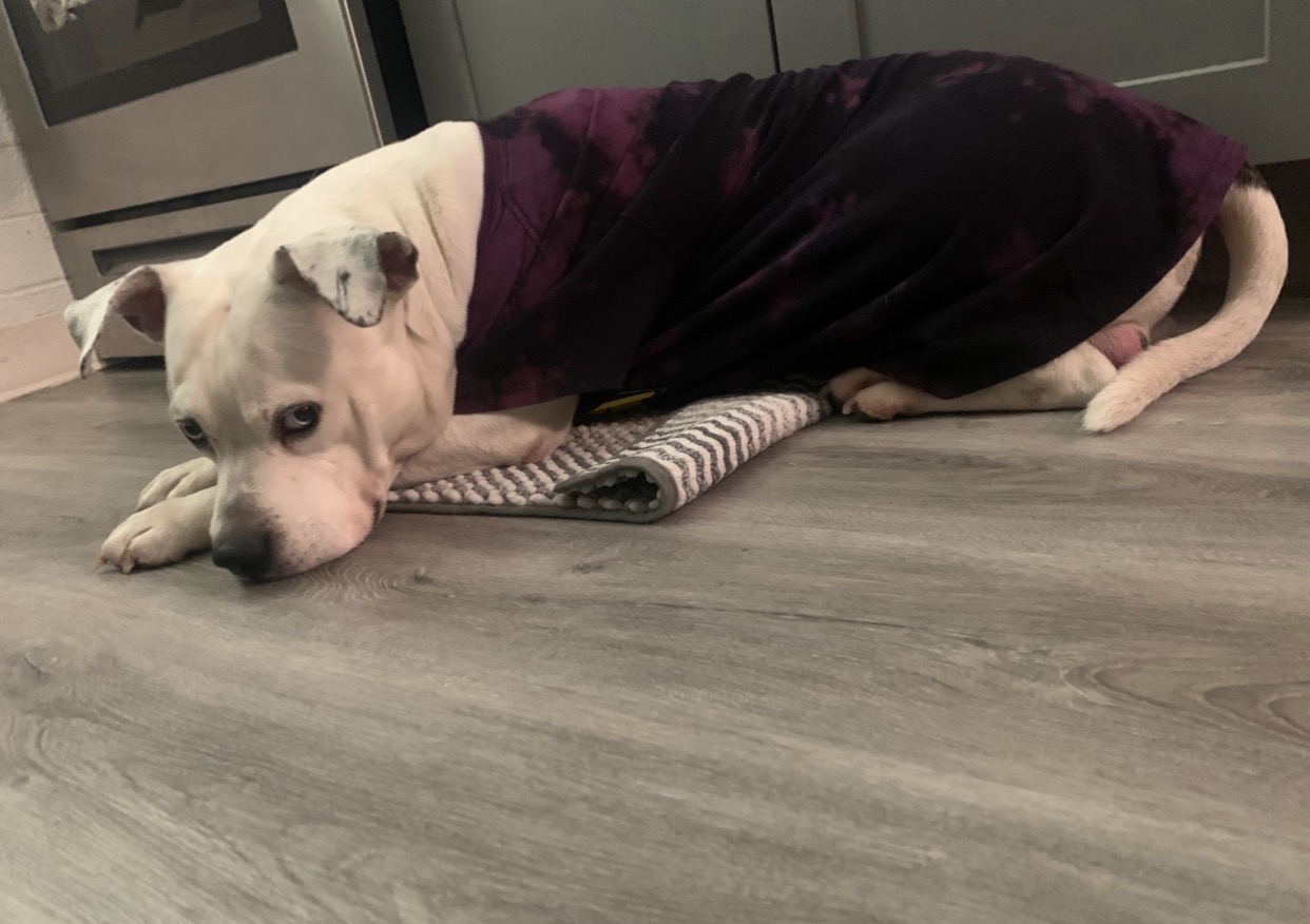 URGENT: Help Malaa get Surgery campaign photo, 4 of 7