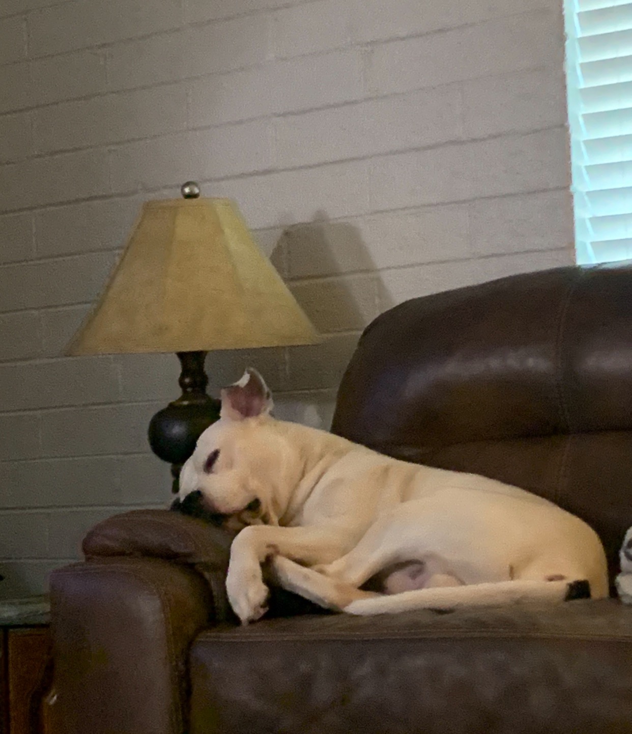 URGENT: Help Malaa get Surgery campaign photo, 5 of 7
