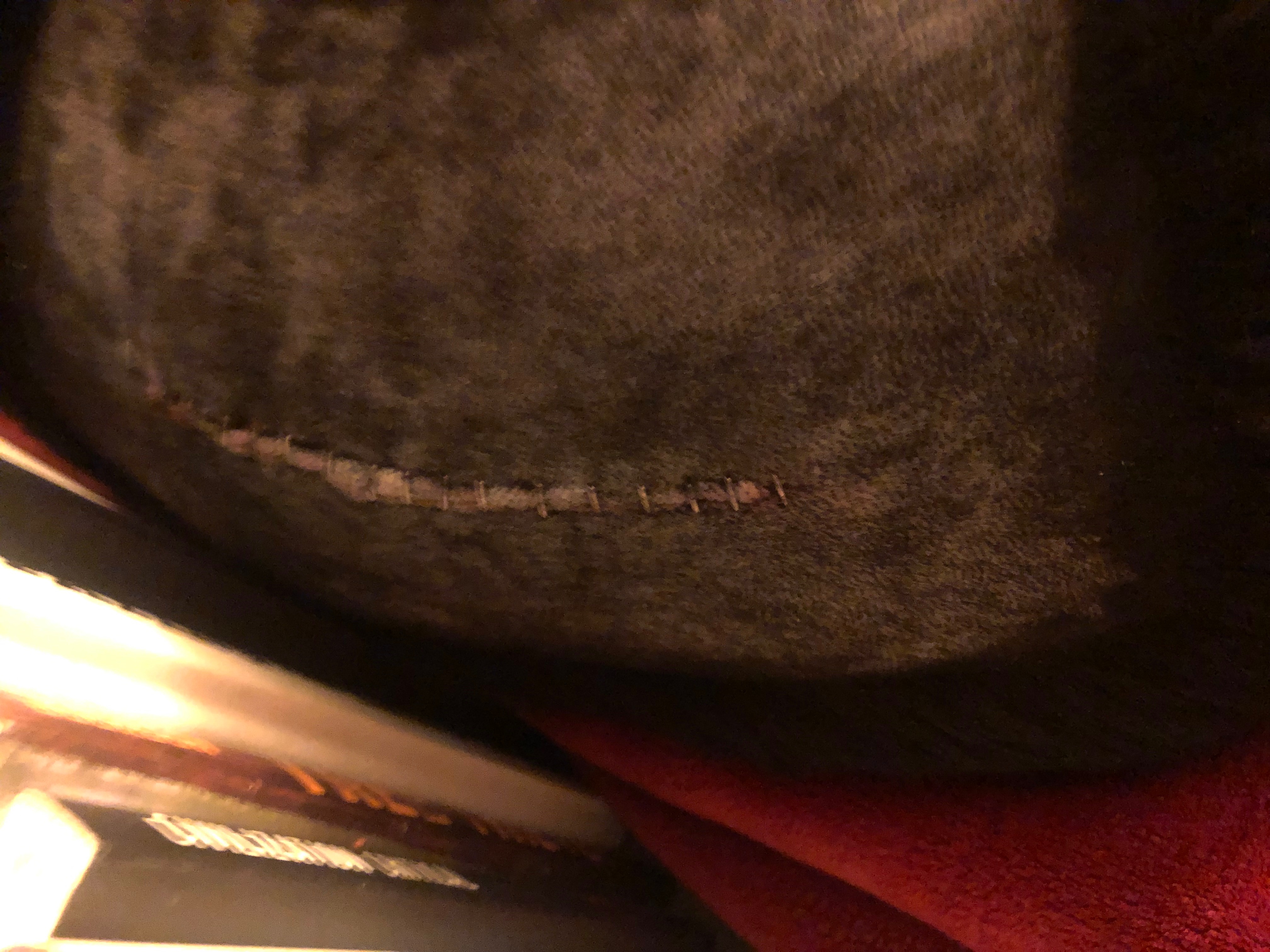 Spinal surgery for Rusty campaign photo, 4 of 5