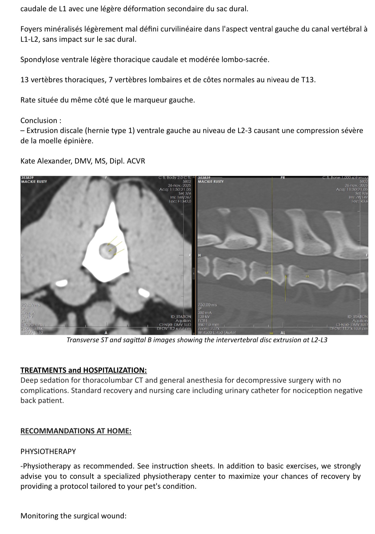 Spinal surgery for Rusty campaign photo, 2 of 5