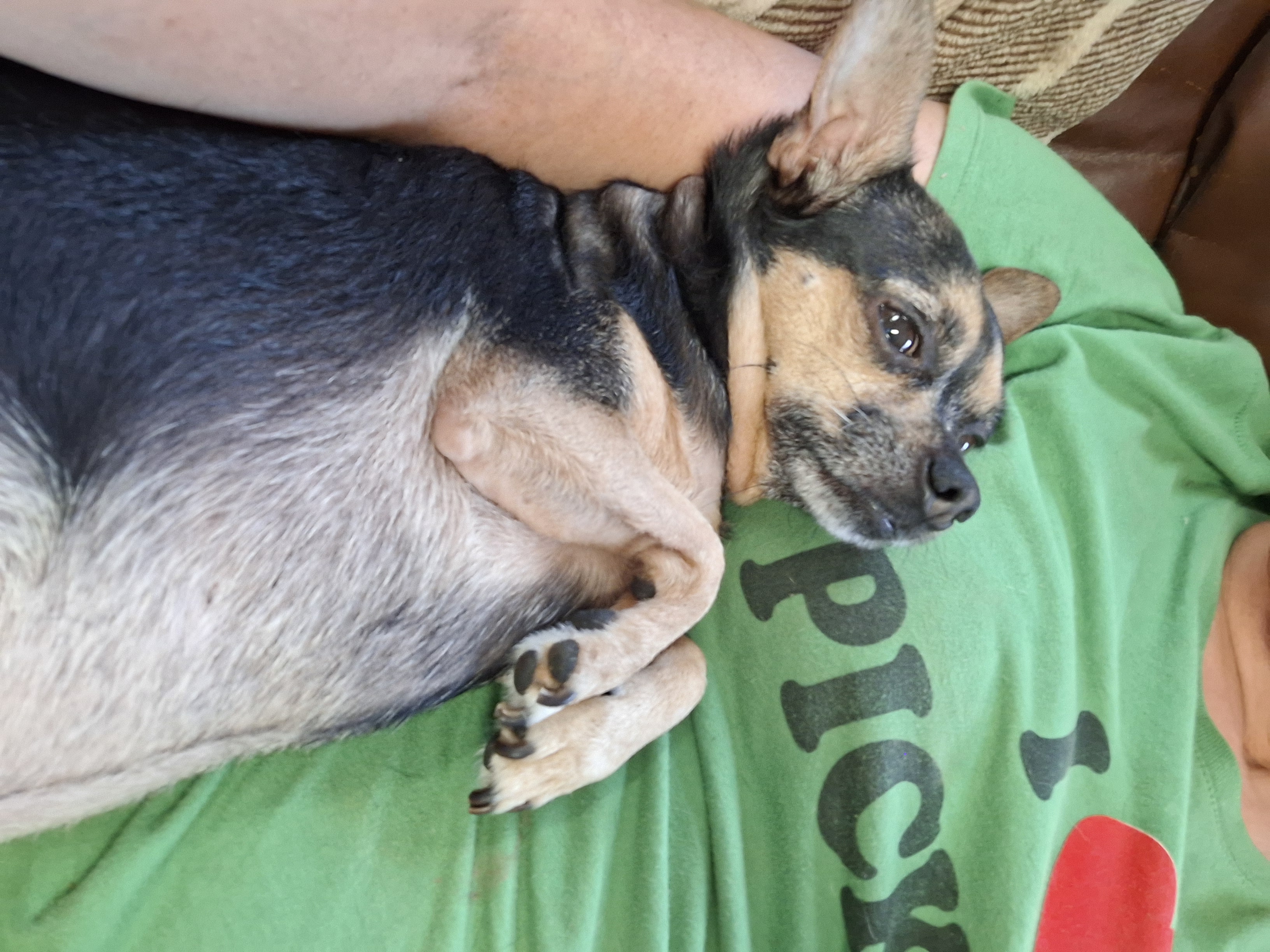 Help Thor Recover from a Terrible Attack campaign photo, 5 of 8