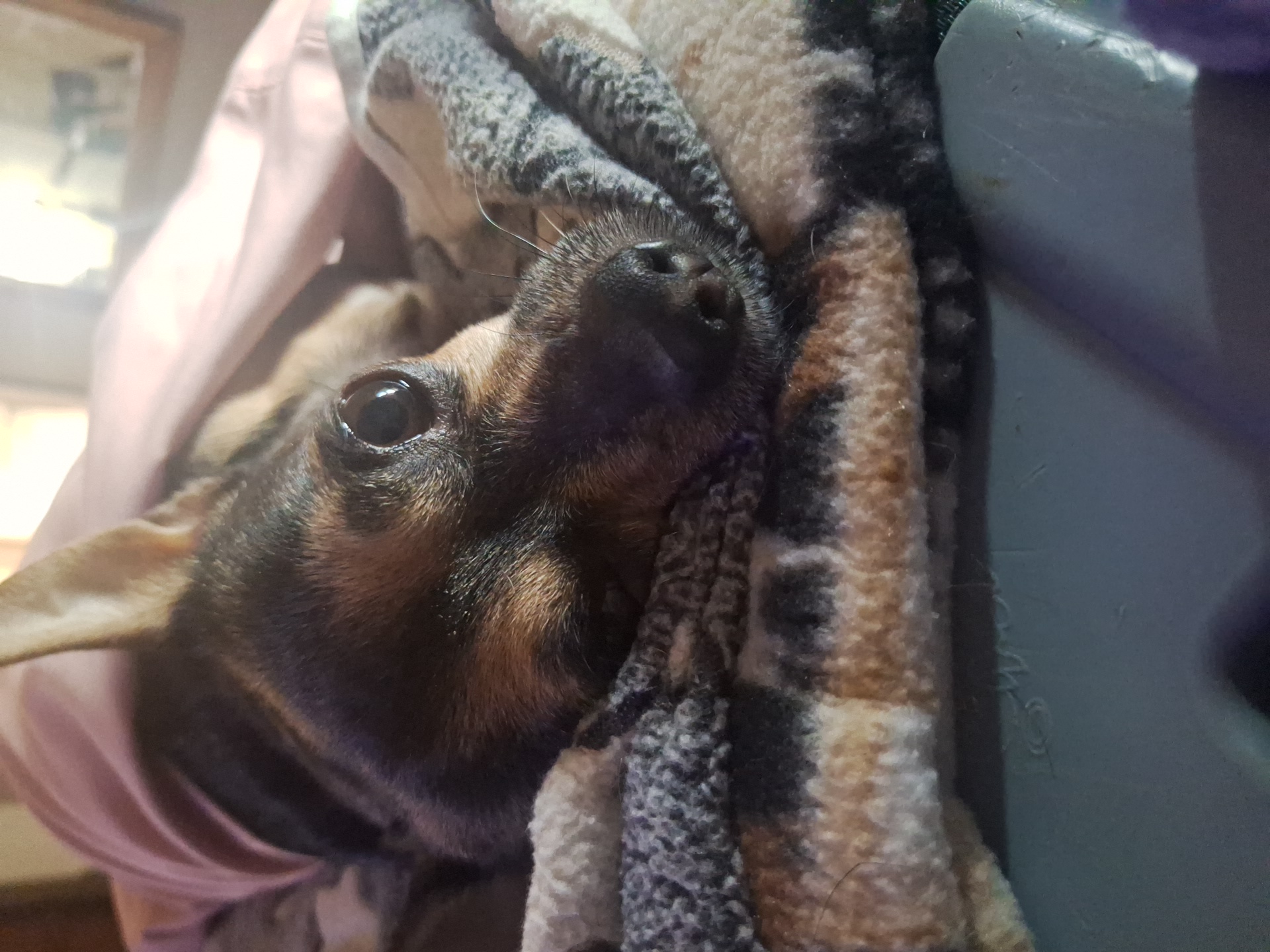 Help Thor Recover from a Terrible Attack campaign photo, 6 of 8