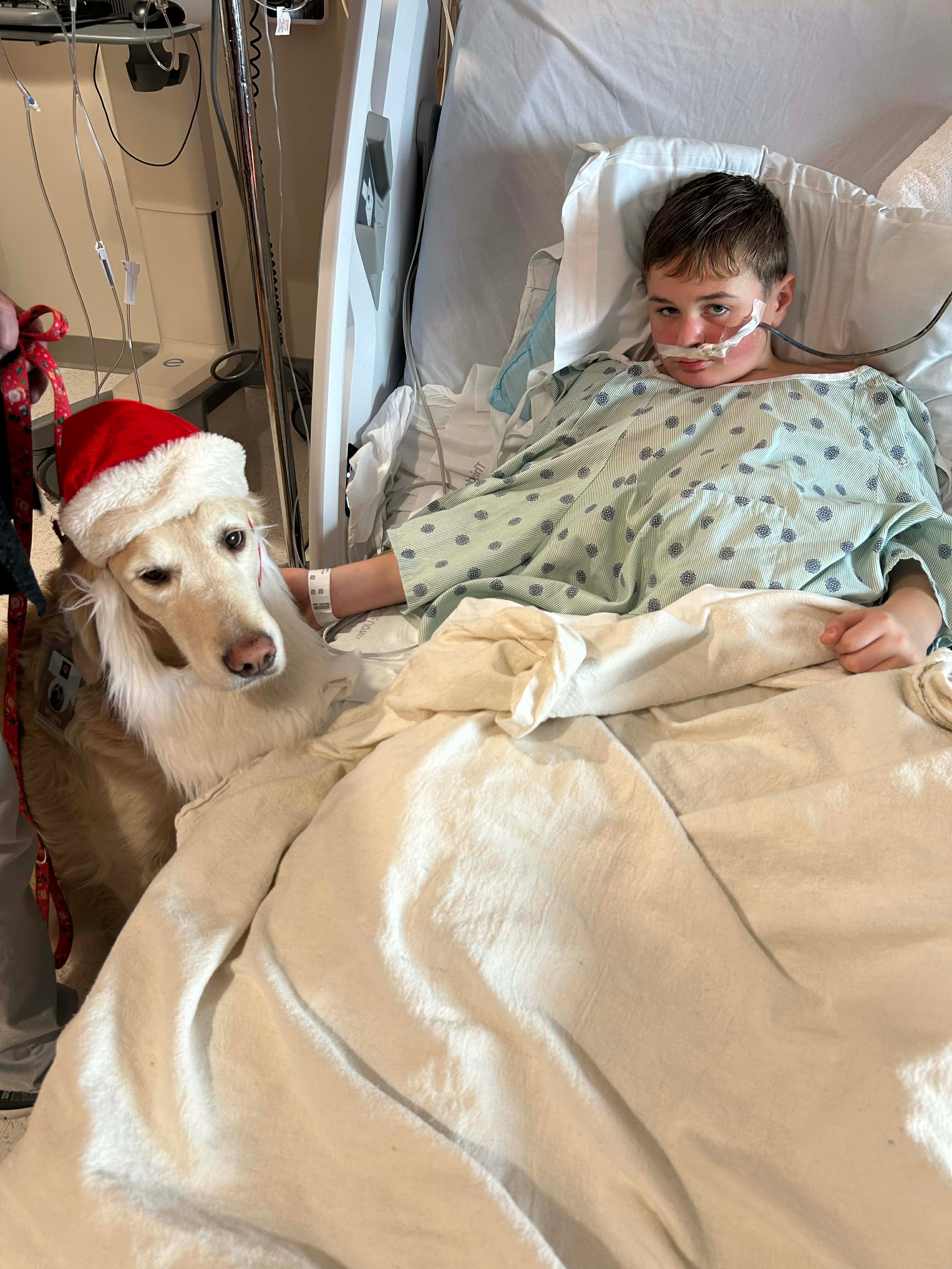 Bring Our Family Together This Christmas For Bentley campaign photo, 2 of 8