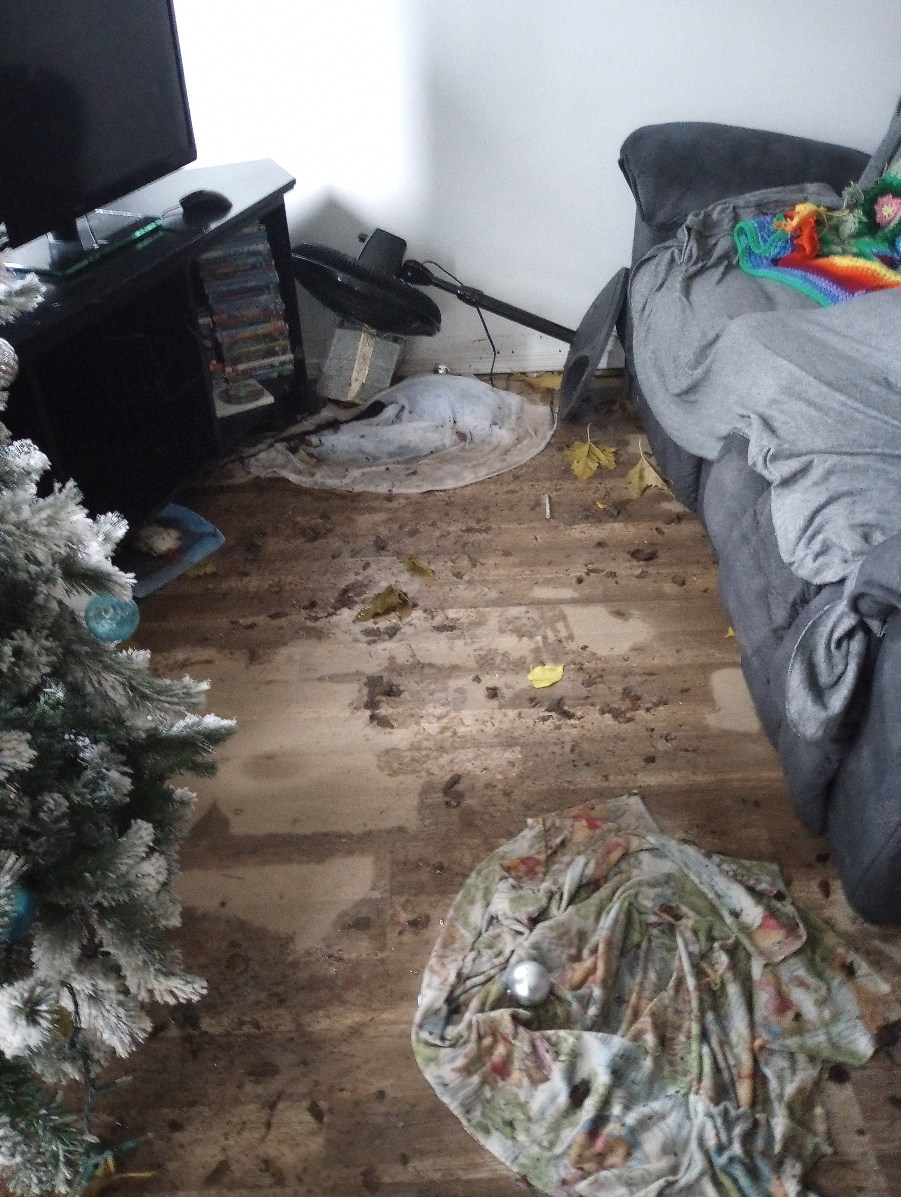 Fundraiser by Kyle Luft : Support the Luft family after devastating flood  loss, image size:3072x4080