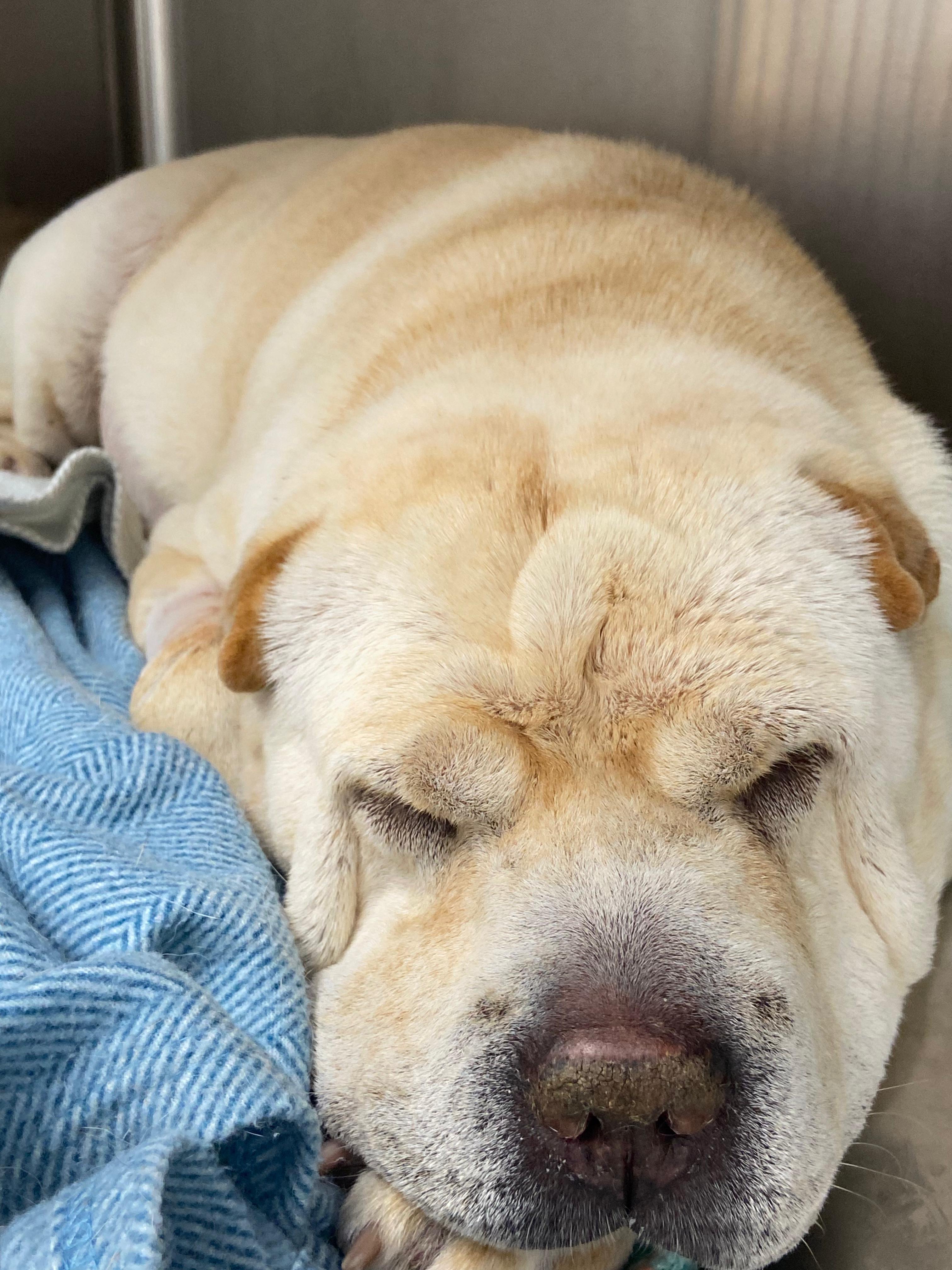 Help Stormi Get Lifesaving Dialysis campaign photo, 4 of 7