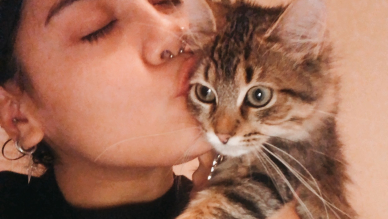 Help Save Tyler’s Life: Emergency Surgery for My Sweet Kitty