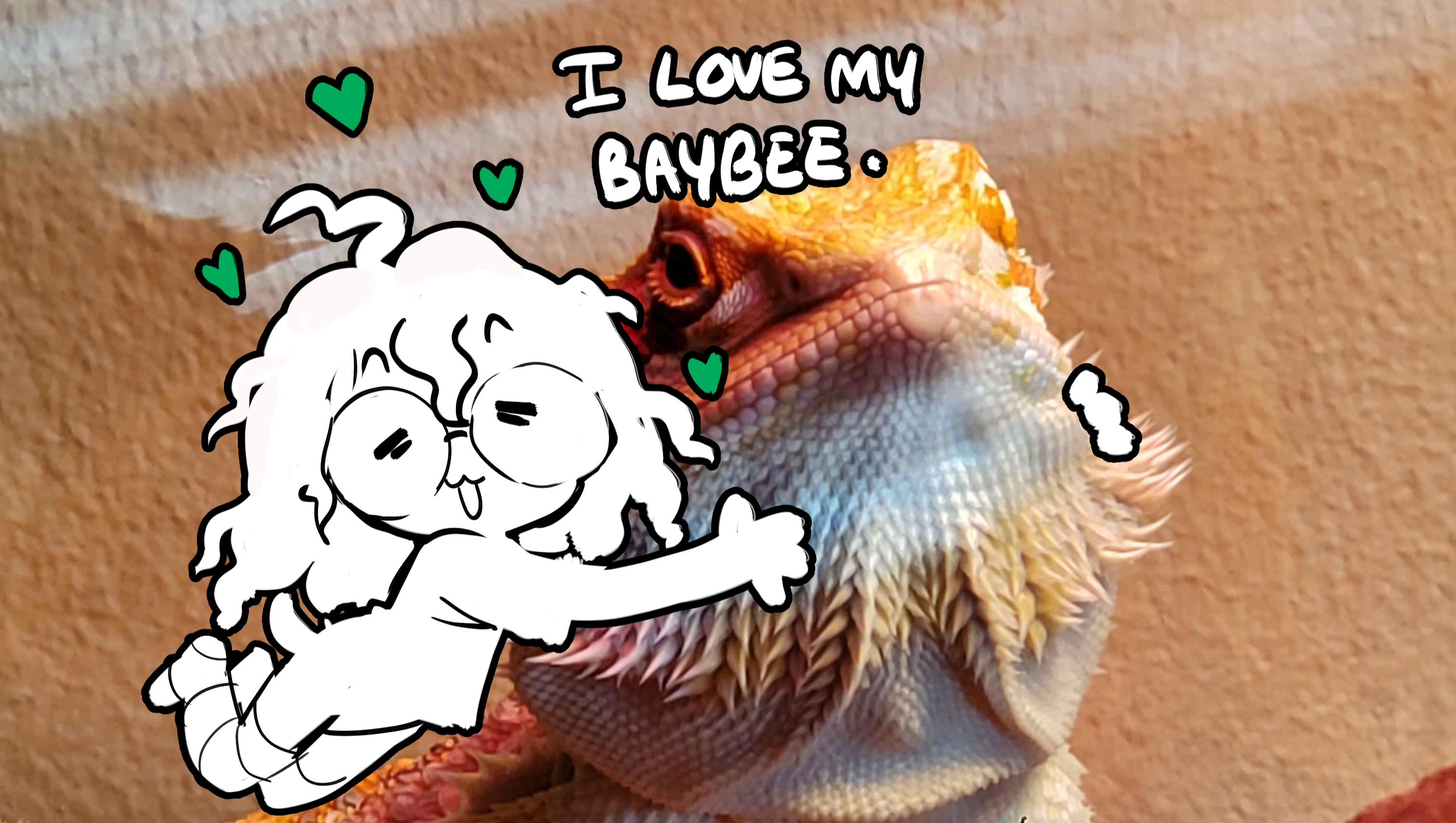 Support for Housing and my Bearded Dragons Care