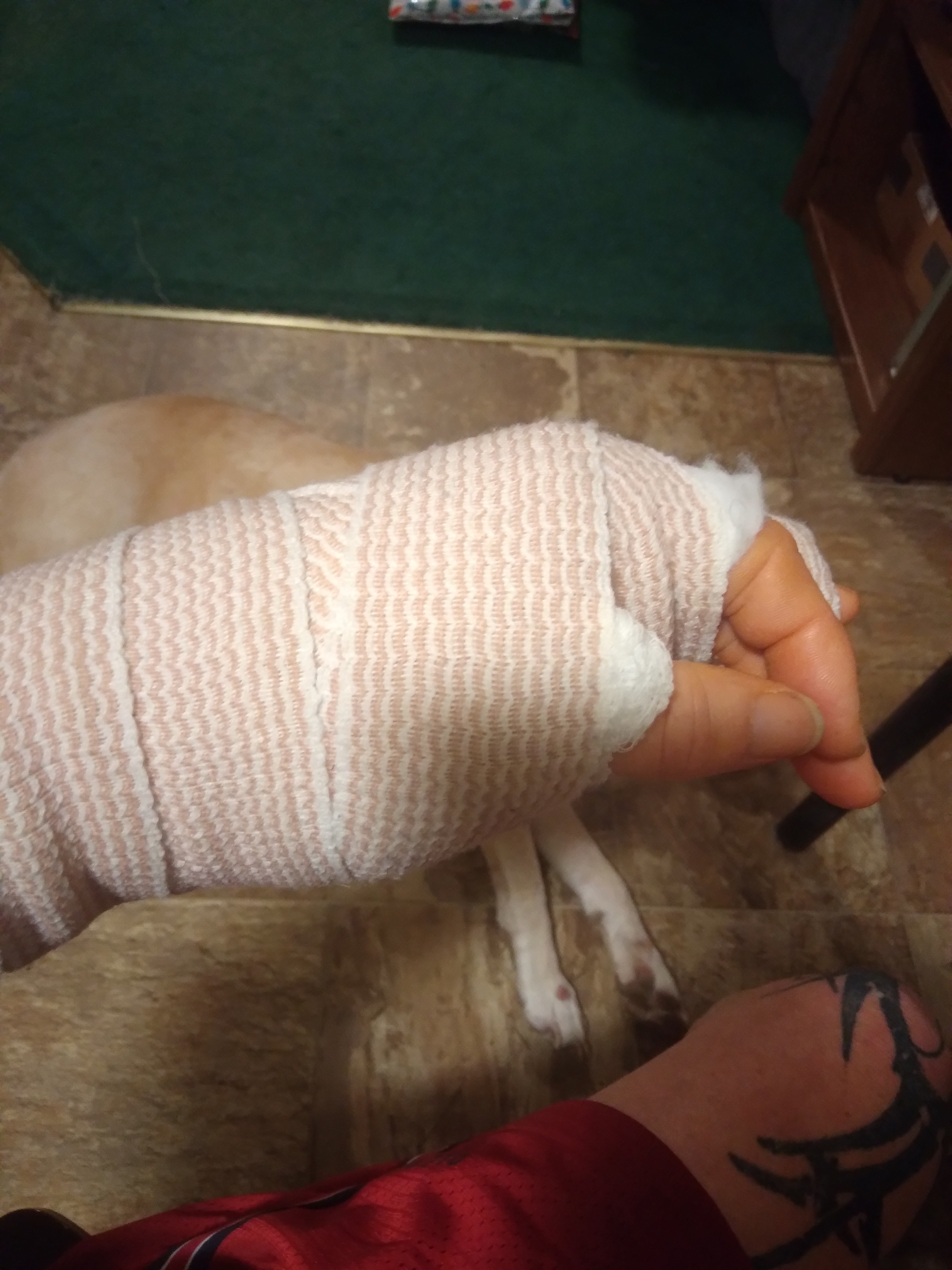 Prevent Homelessness After My Accident campaign photo, 6 of 7