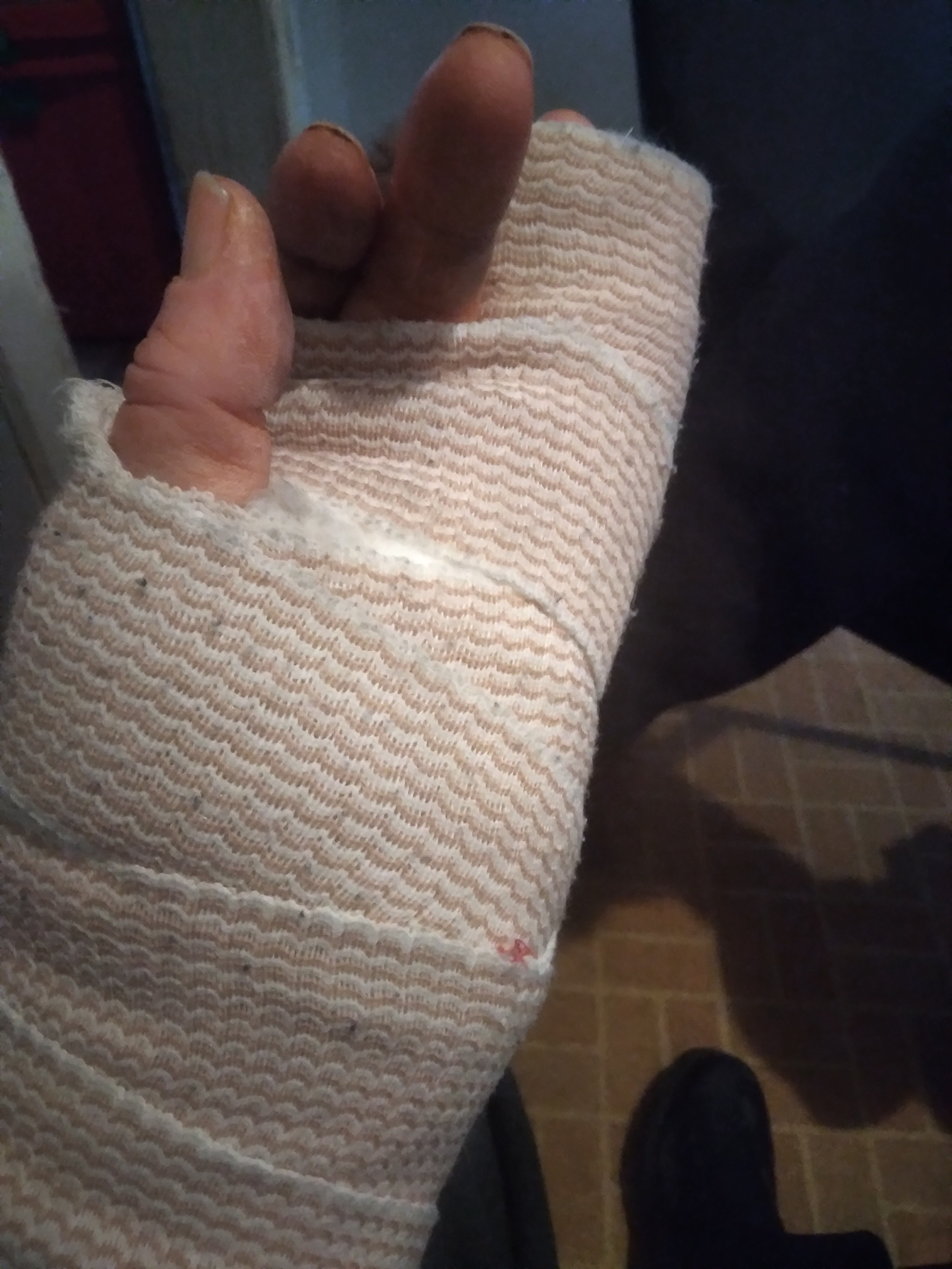 Prevent Homelessness After My Accident campaign photo, 2 of 7