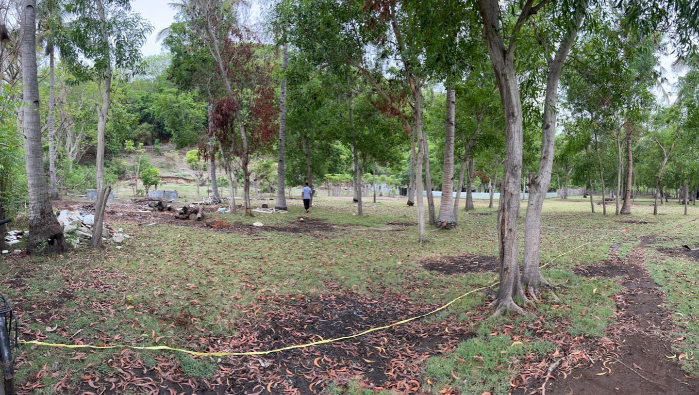 From Ruins to Hope: Help Horses of Gili Rebuild Their Home