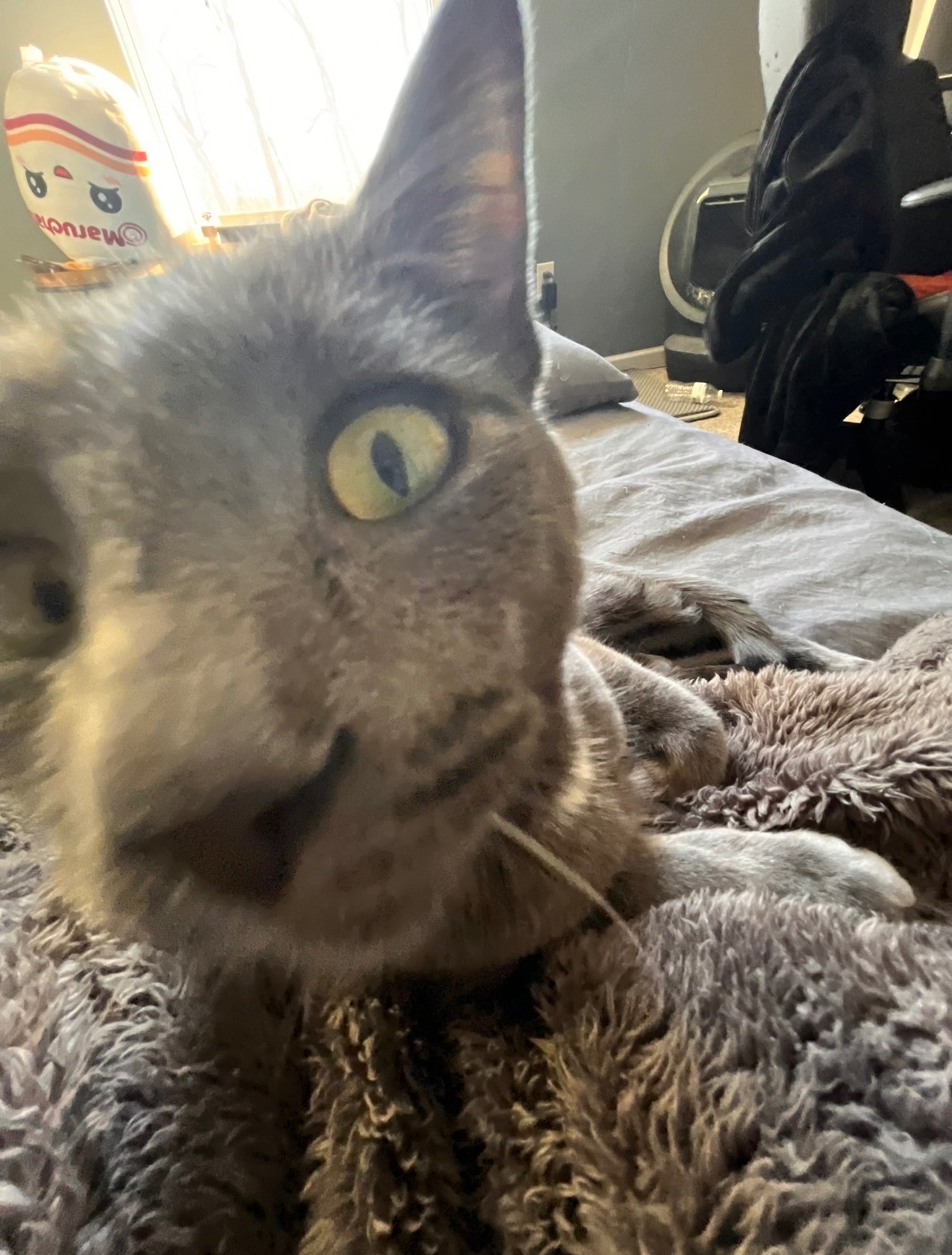 Help Alkaios Heal from His Sudden Injury campaign photo, 7 of 8