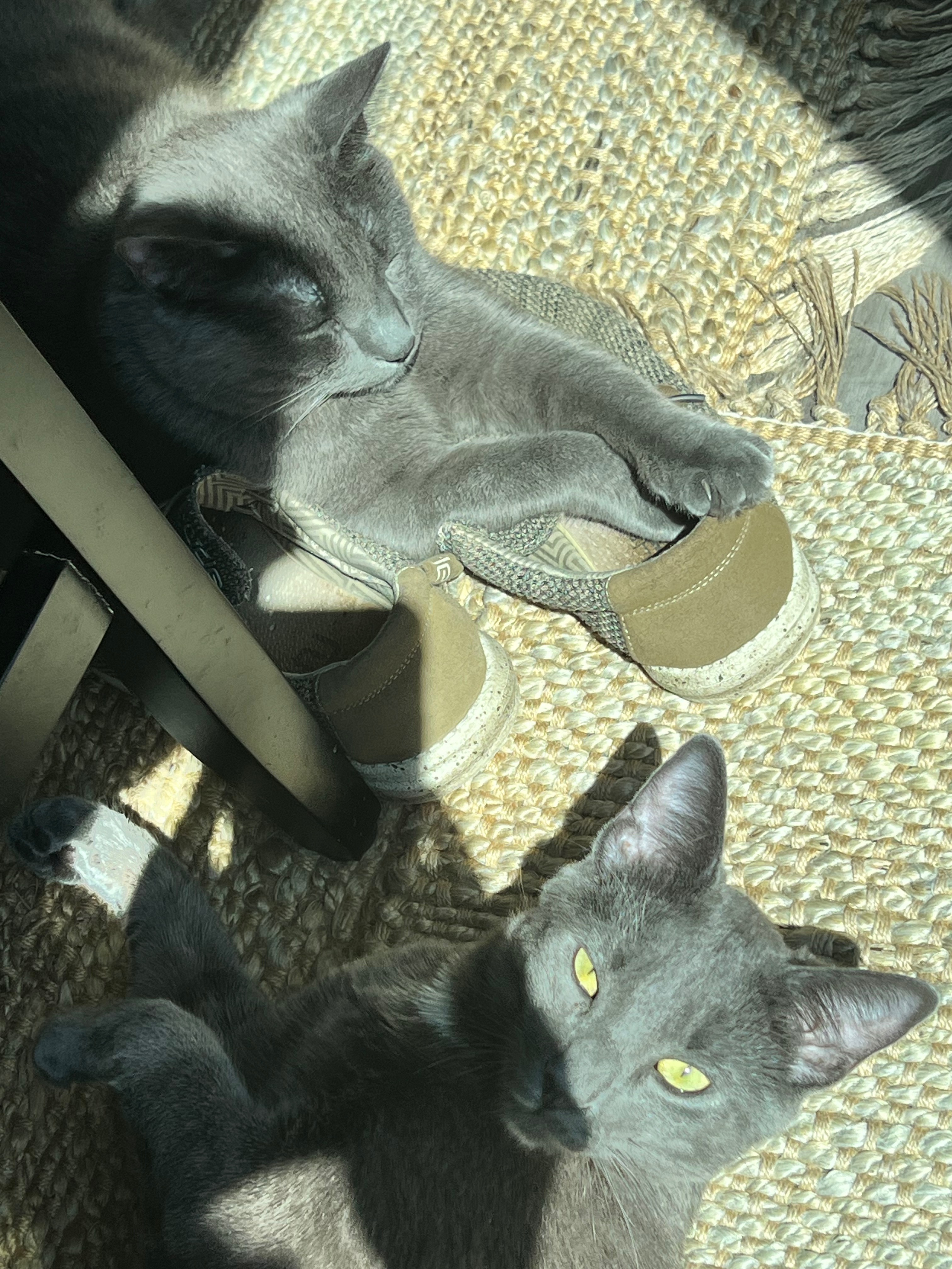 Help Alkaios Heal from His Sudden Injury campaign photo, 6 of 8