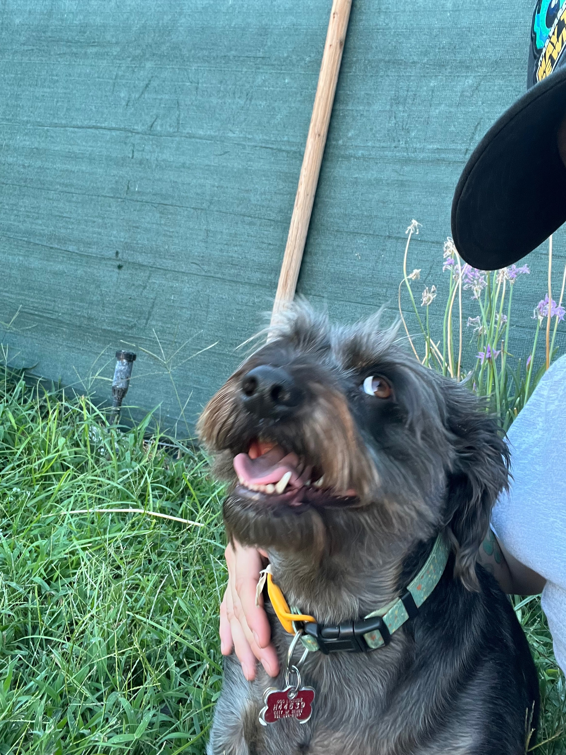 Help Stanley Get the Care He Needs campaign photo, 2 of 7