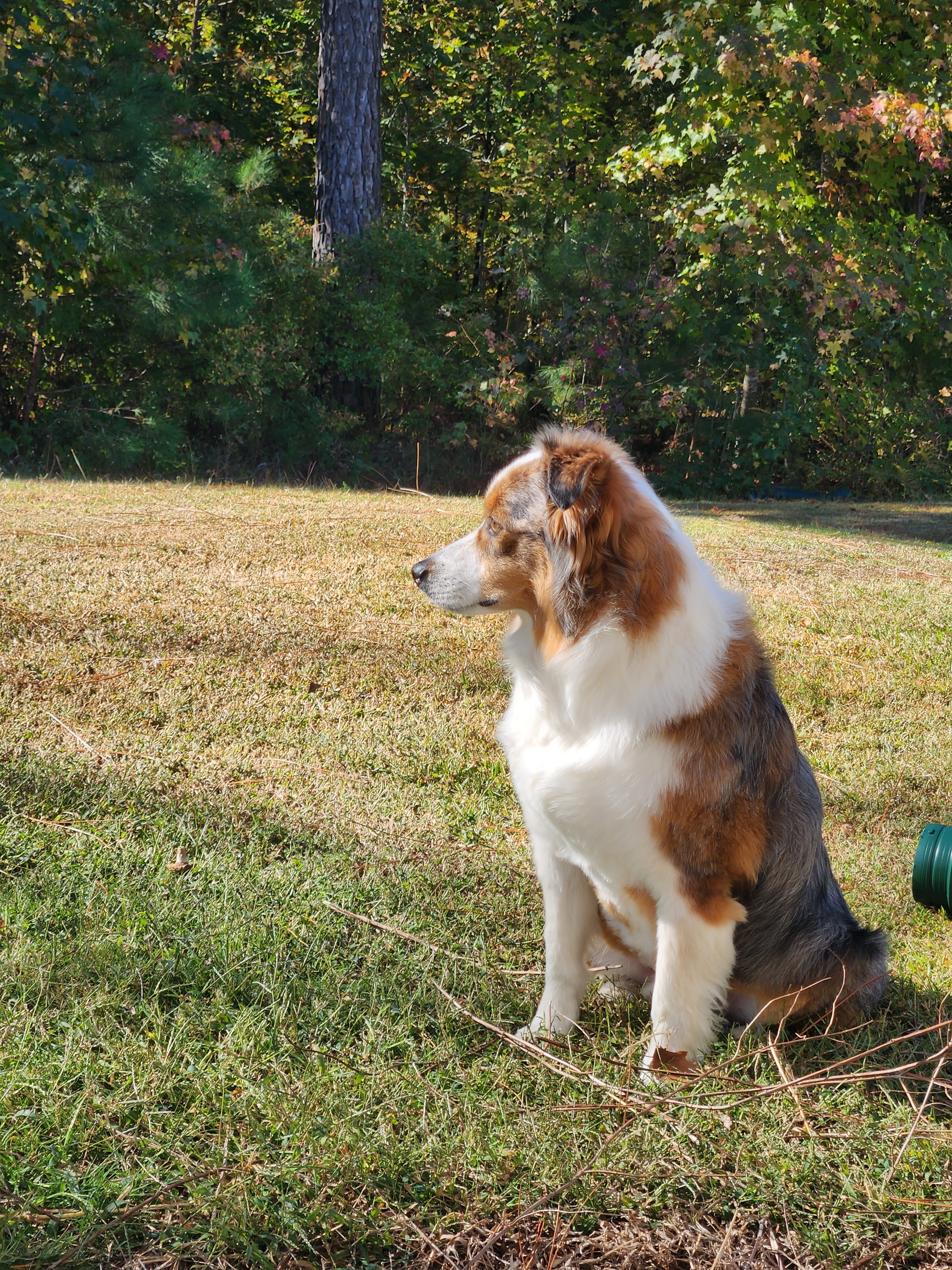 Help Boudreaux Lewis Breathe Again campaign photo, 2 of 8