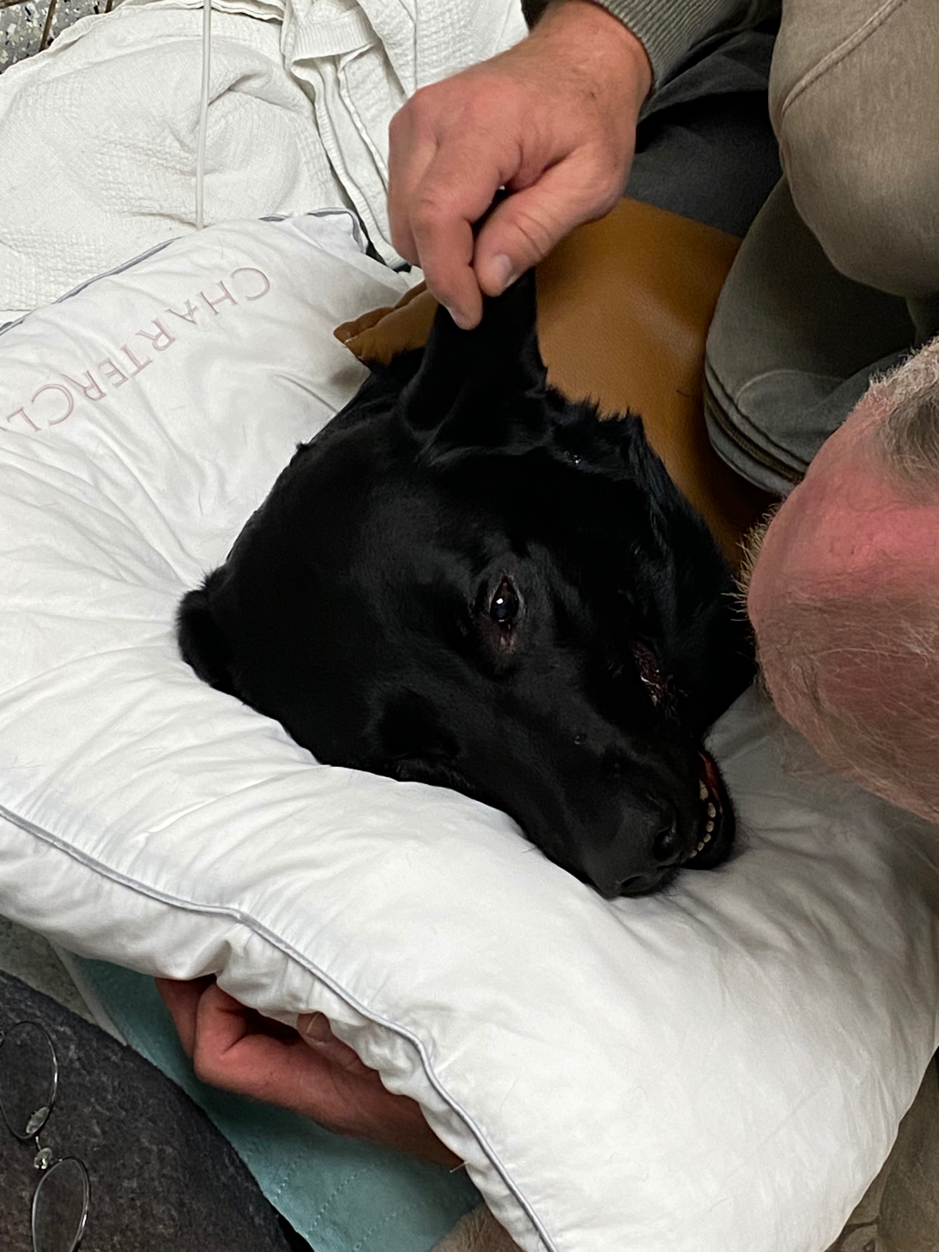 Save Baby after tragic poisoning after already losing Stan campaign photo, 5 of 8