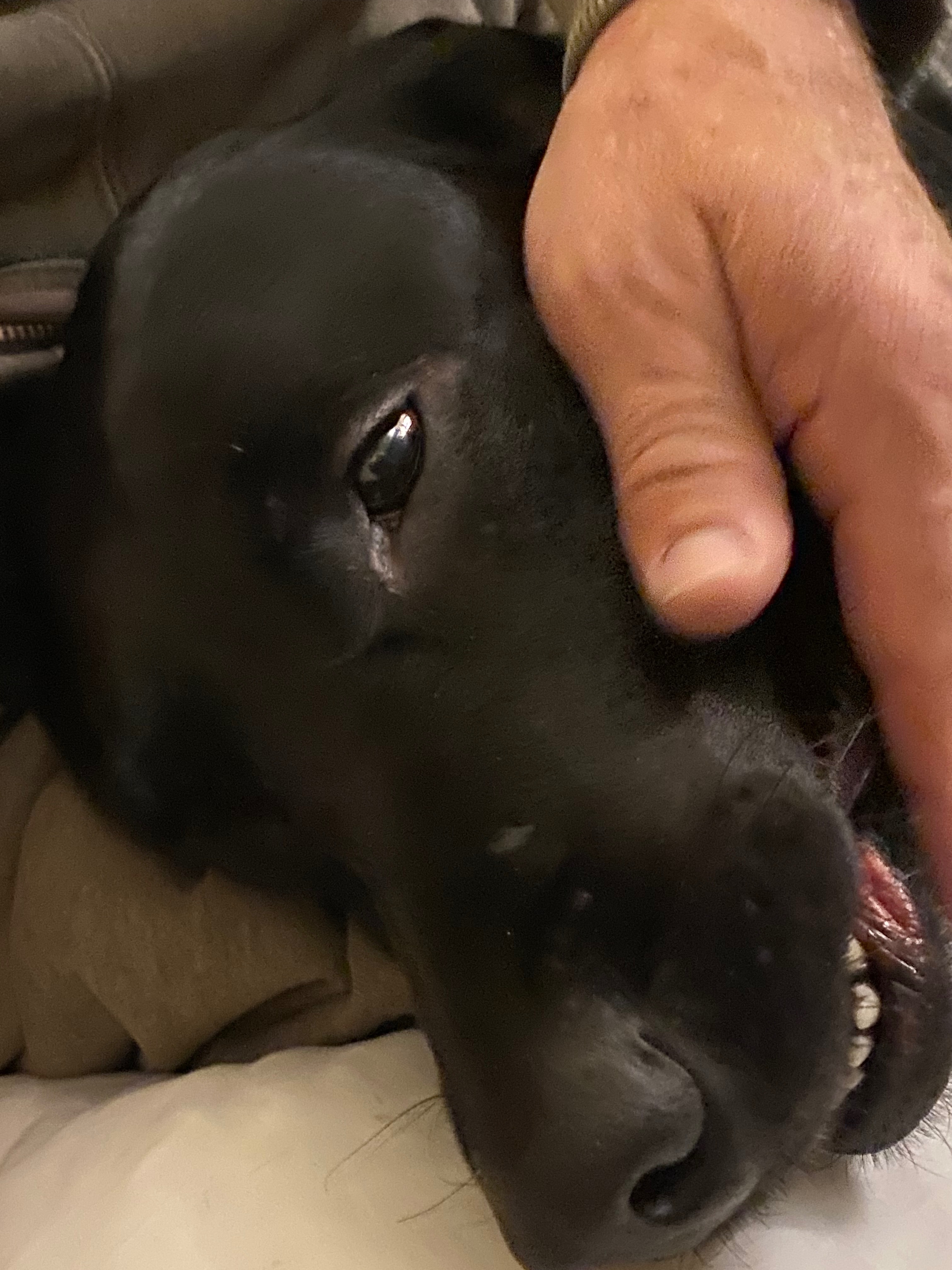 Save Baby after tragic poisoning after already losing Stan campaign photo, 6 of 8