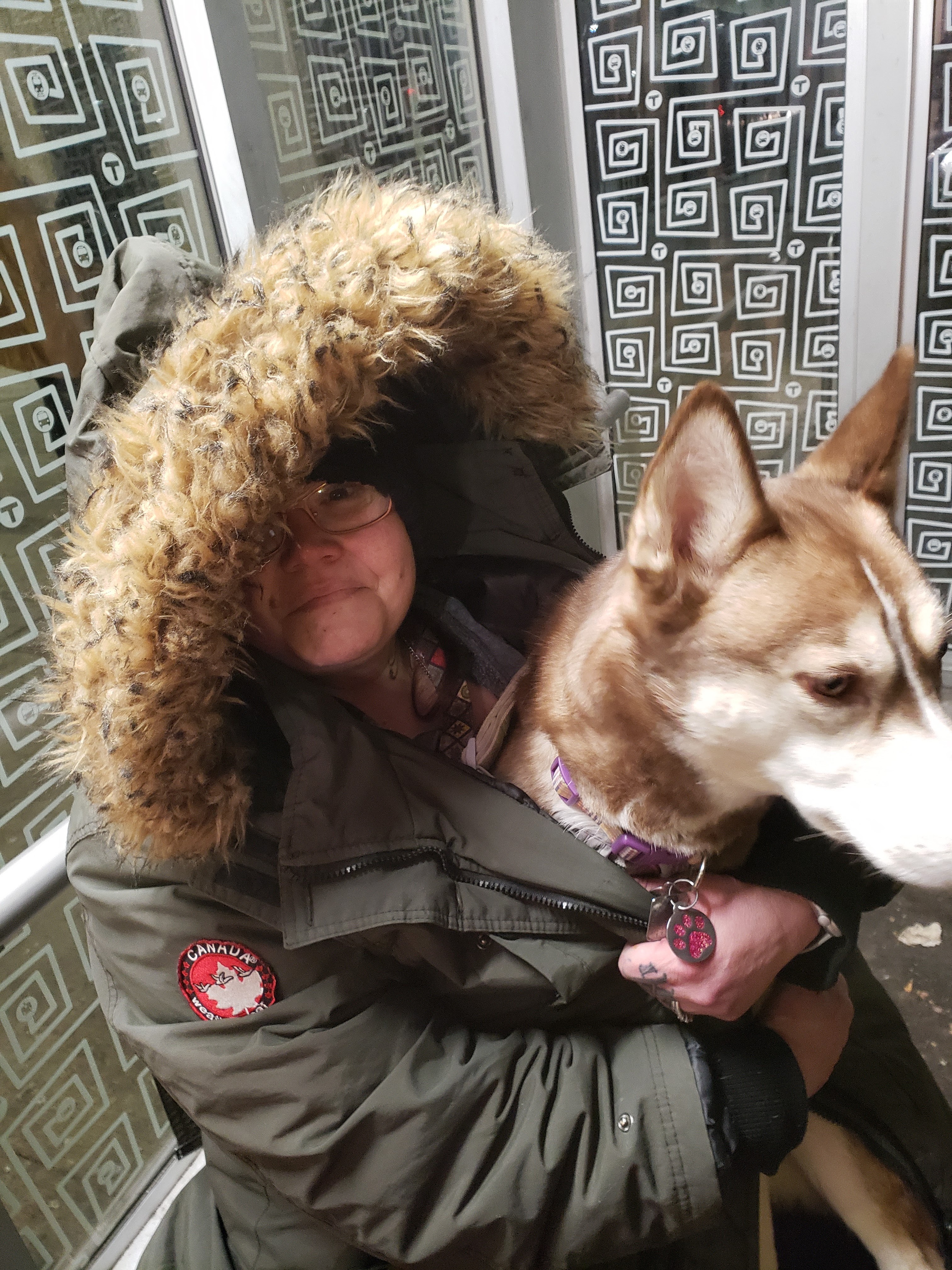 Kampagnen-Foto für Help Amanda & Her Dog Stay Together, 5 von 8