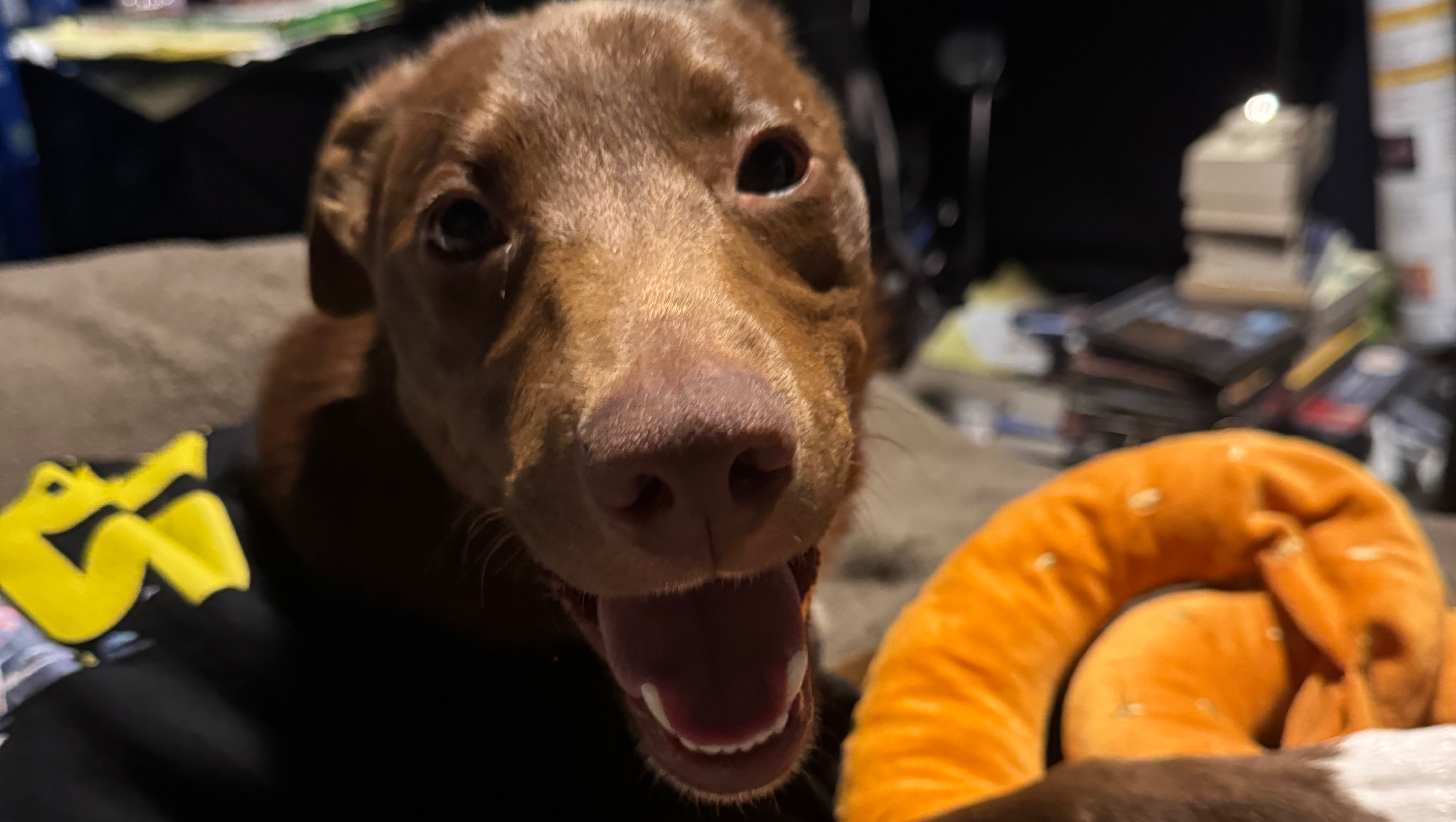 Help Teo Pay Off Debt and Focus on Studies photo