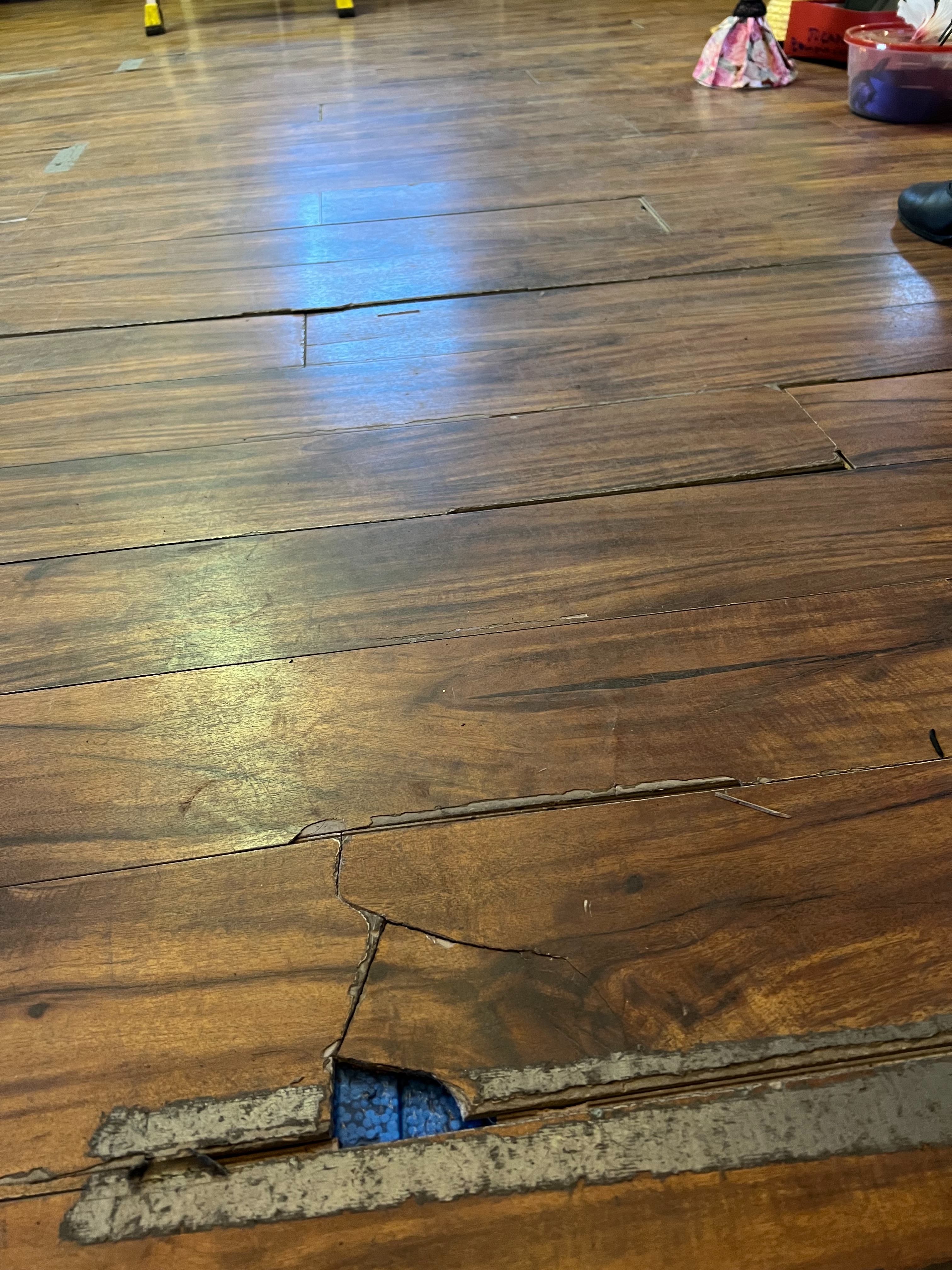 This Floor Held Years of Dedication: It Needs to Be Replaced campaign photo, 6 of 8